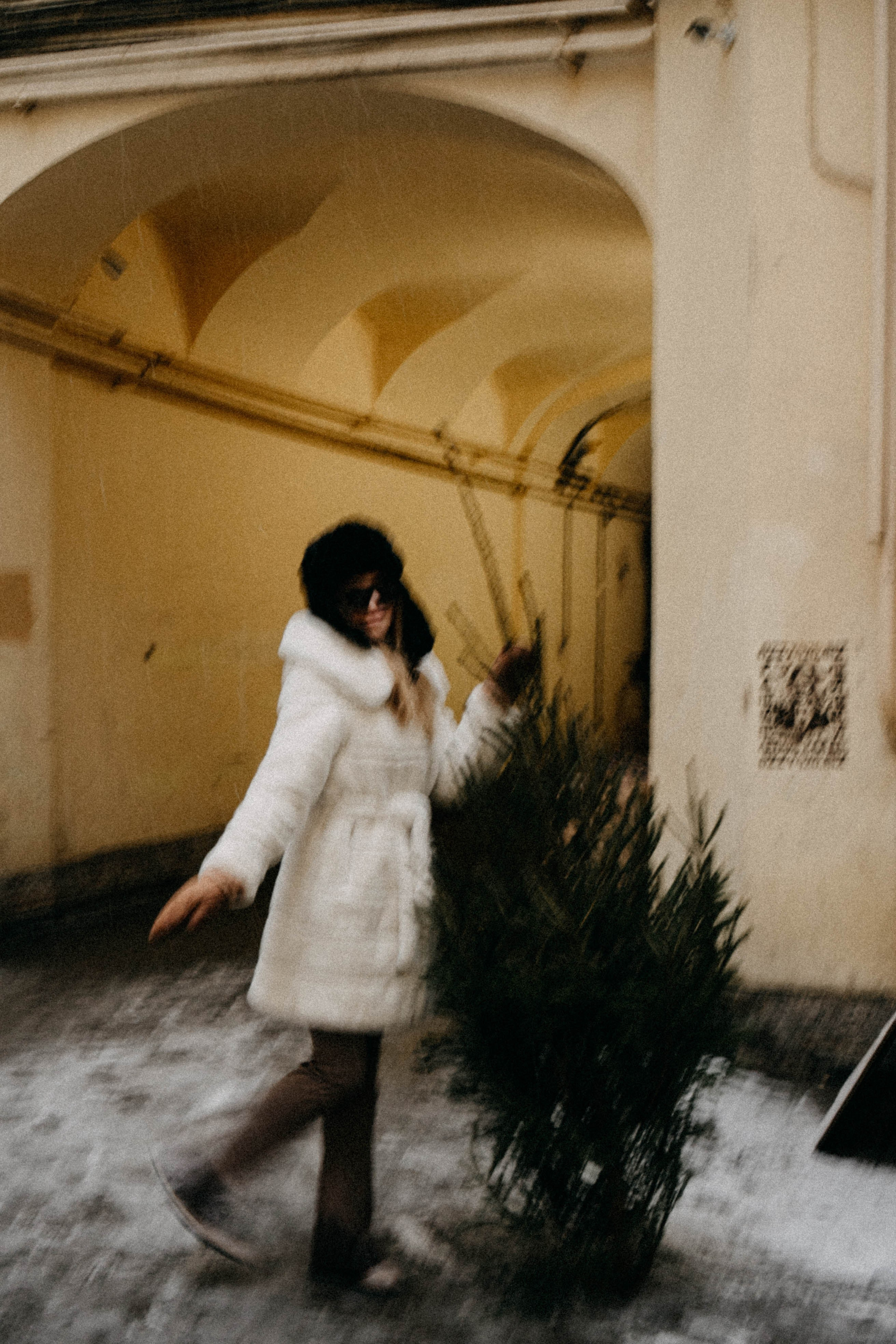 Новогодняя. Профессиональный фотограф, Санкт-Петербург — Виктория Богомолова