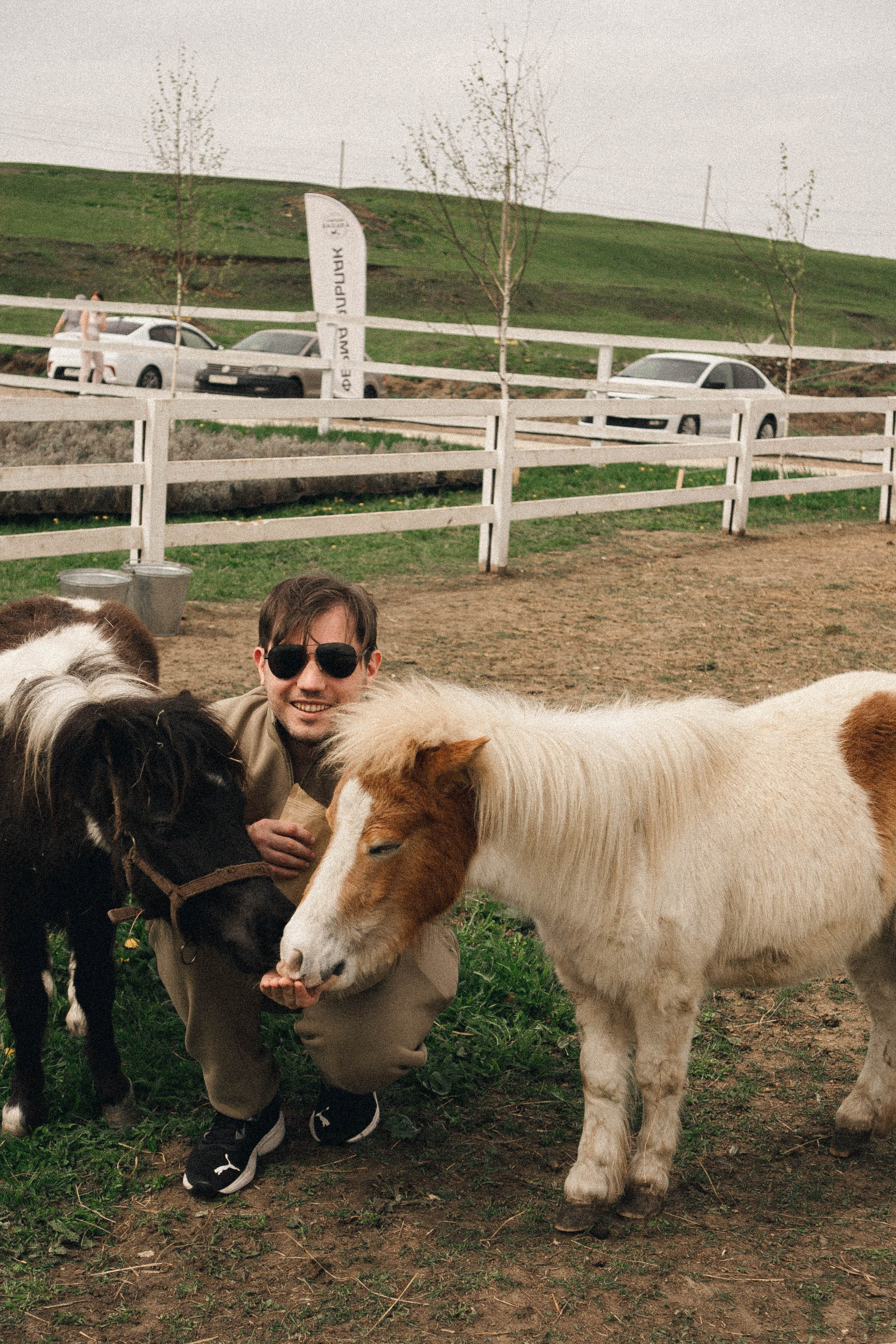 Ферма Альпак. Профессиональный фотограф, Санкт-Петербург — Виктория Богомолова