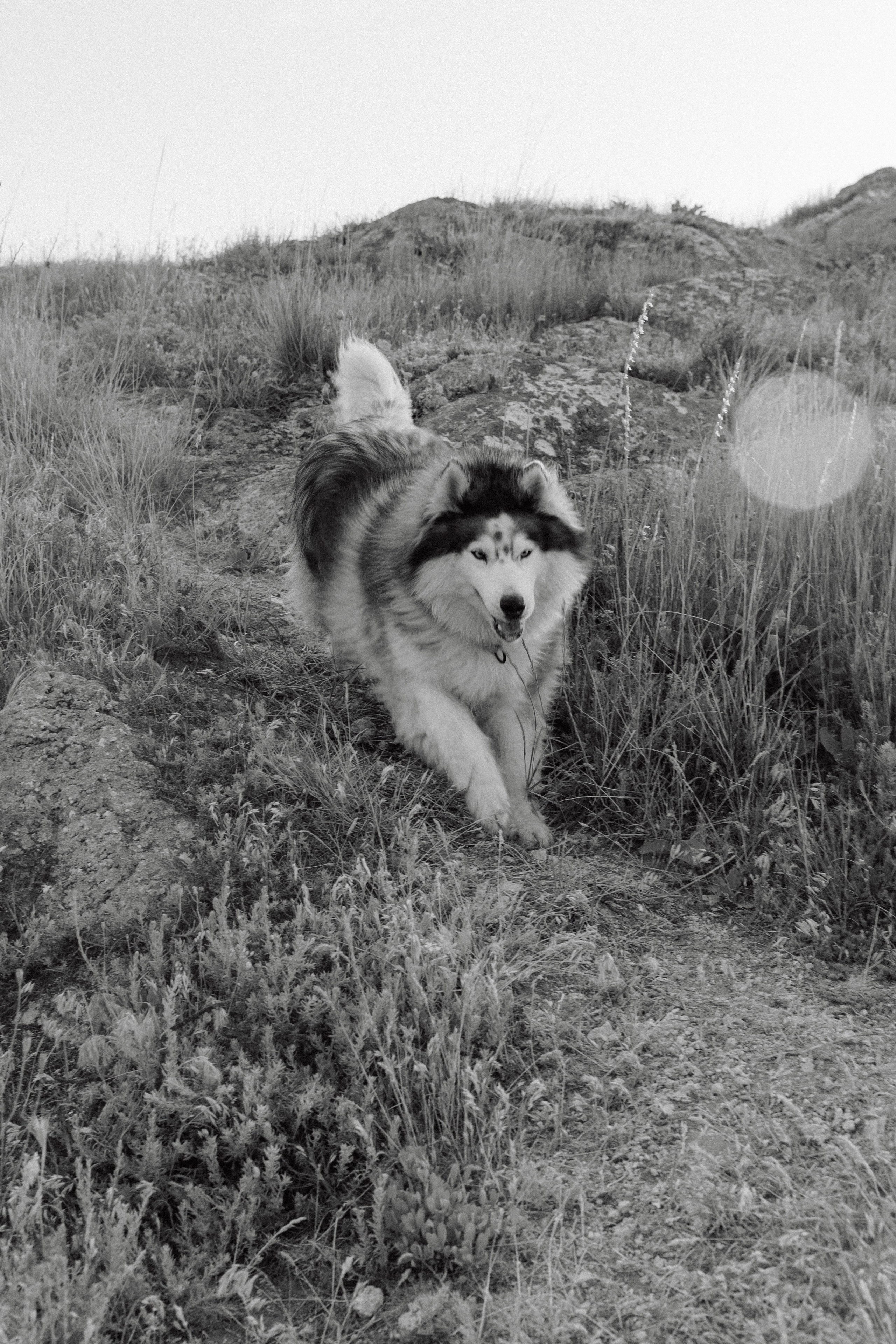 Генеральские пляжи. Свадебный и репортажный фотограф Новороссийск Краснодар Сочи Крым Данила Данилов