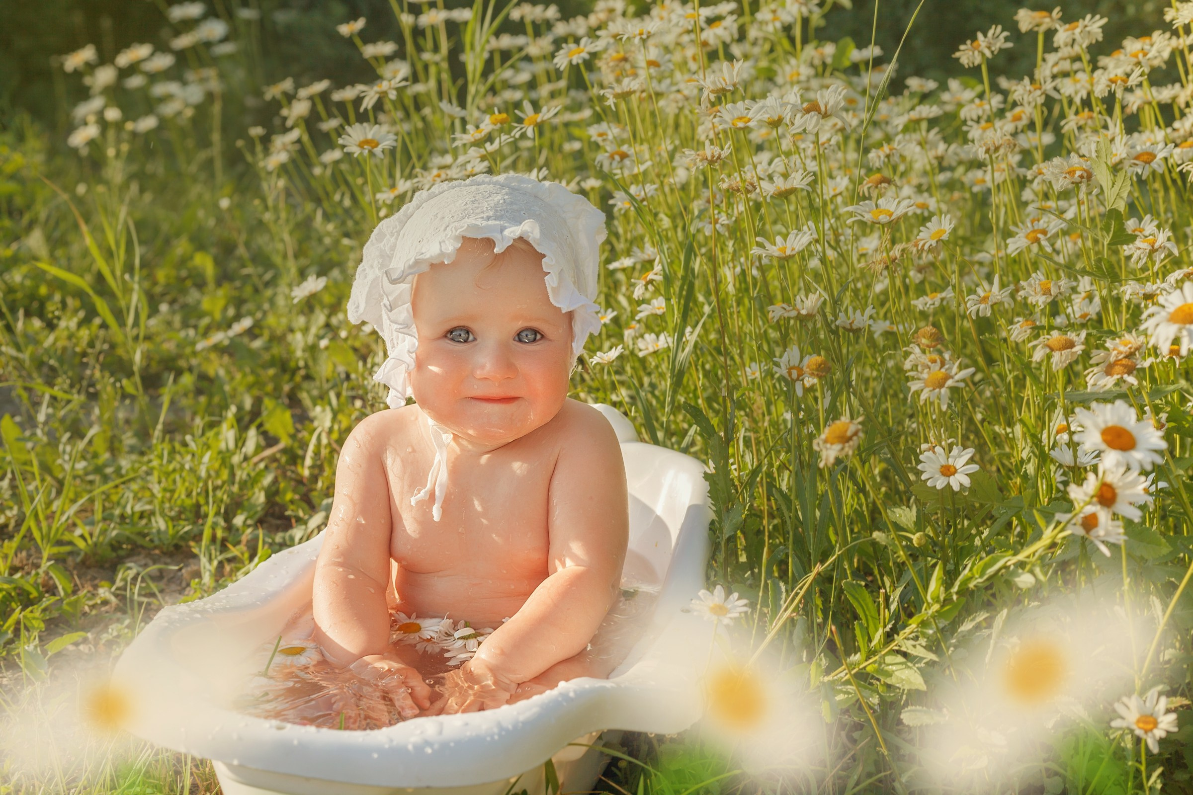 Ромашки. Детский и семейный фотограф в Бердске и Новосибирске Дарья Гребнева