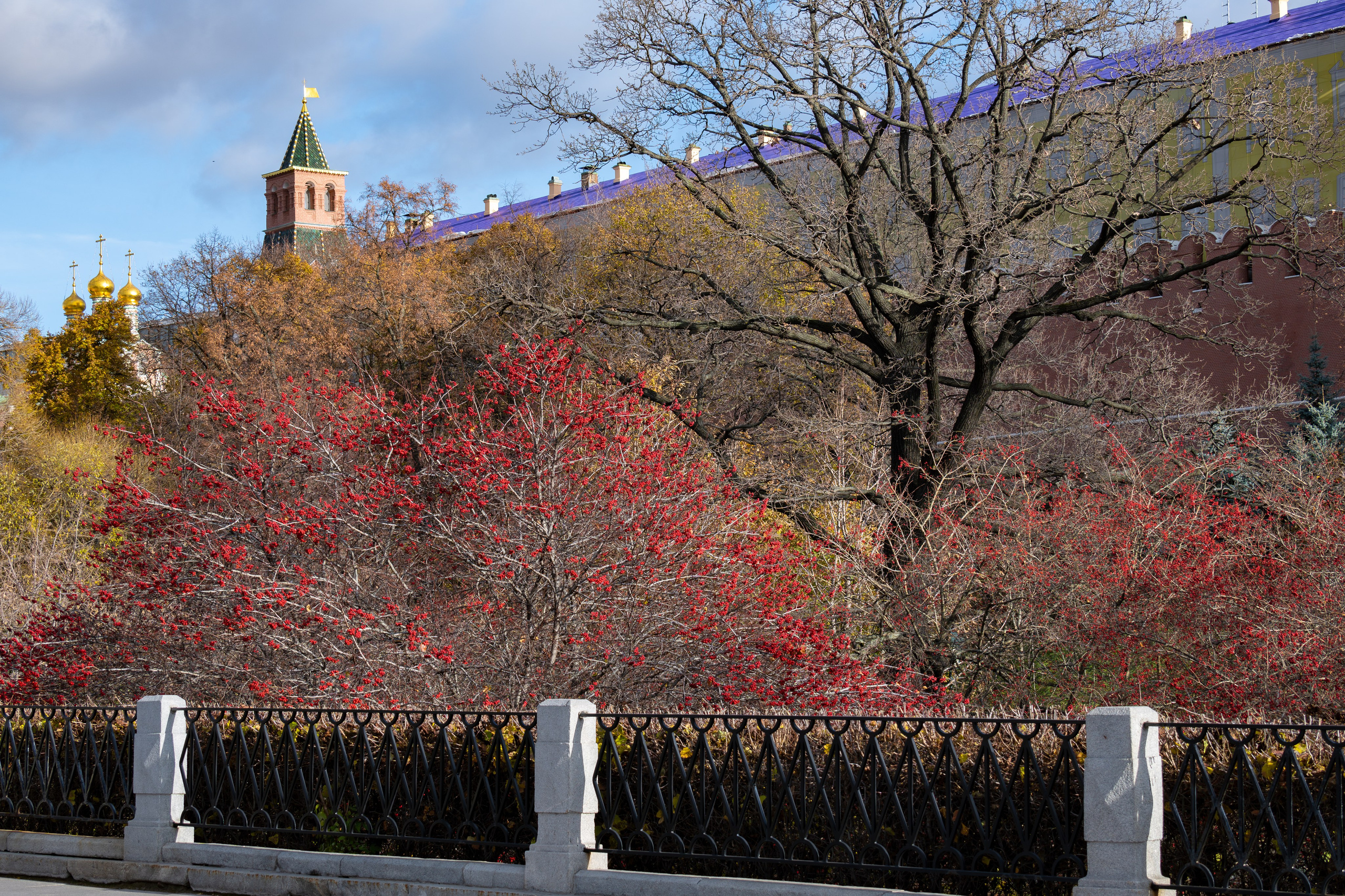 20241110 ГУМ и Кремль. Дмитрий Ремизов. Фотография, как хобби
