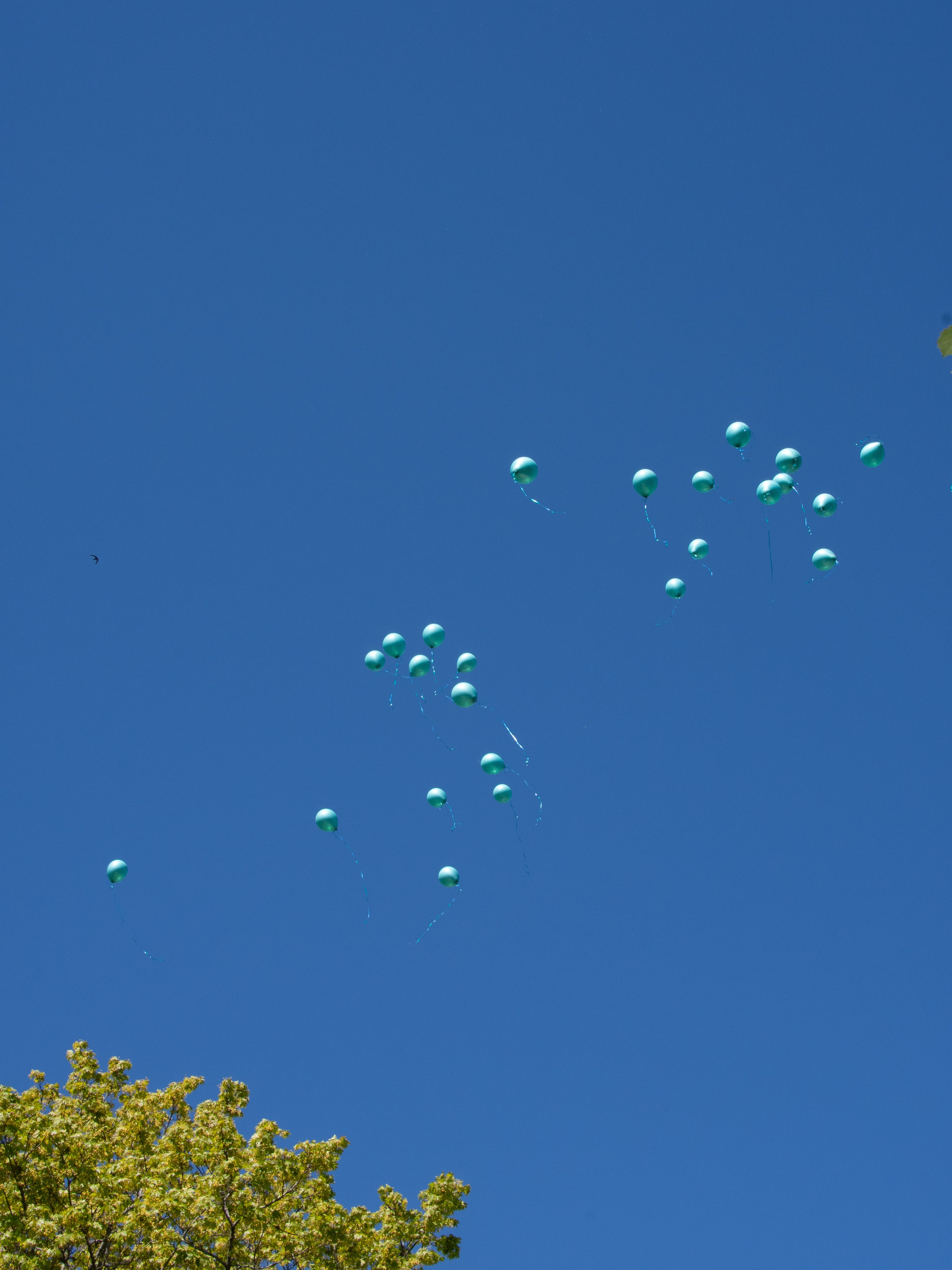 Съемка последнего звонка. Фотограф в Санкт-Петербурге Ксения Яковчук