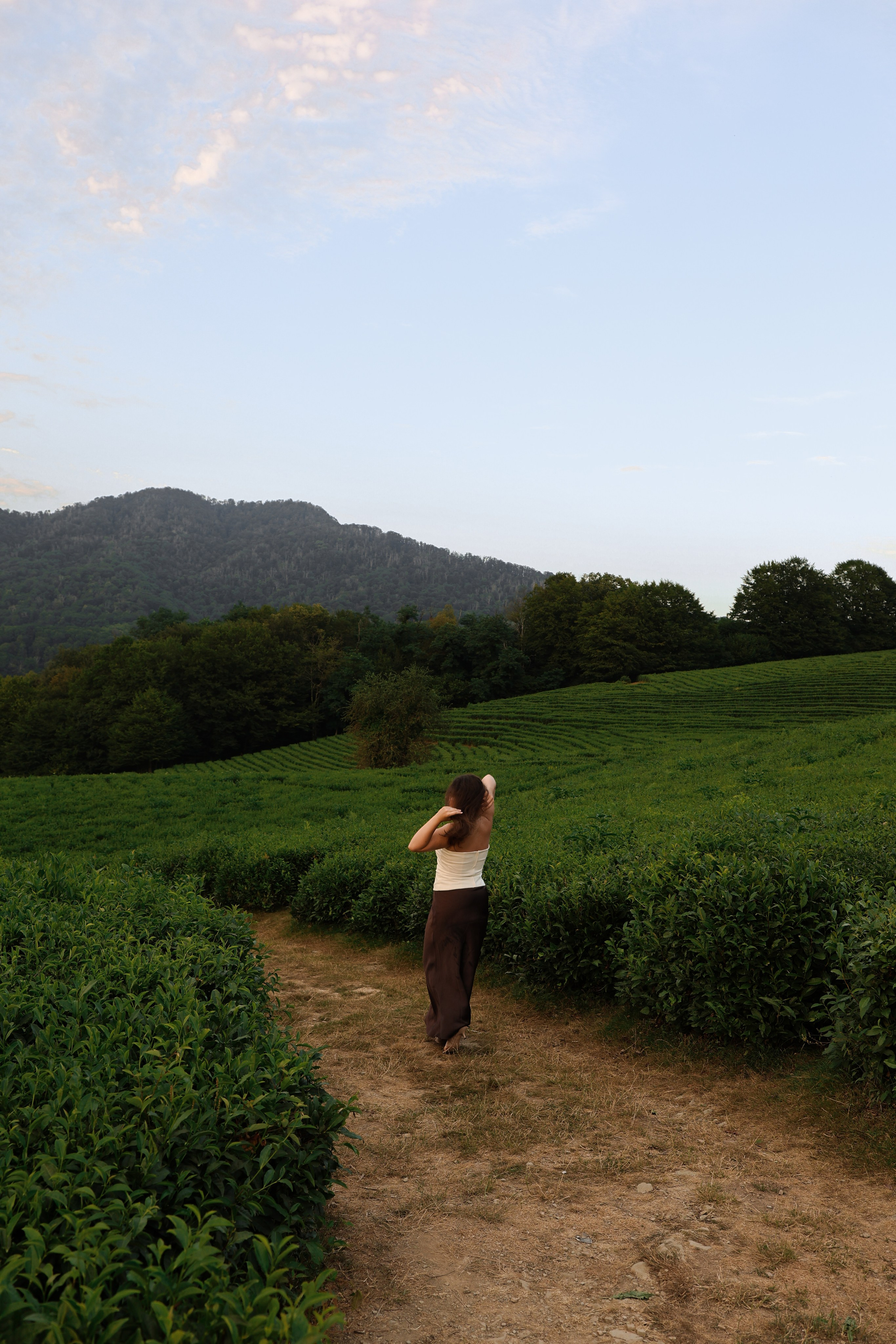 ЧАЙНЫЕ ПЛАНТАЦИИ. Фотограф Москва Оля Олбимак