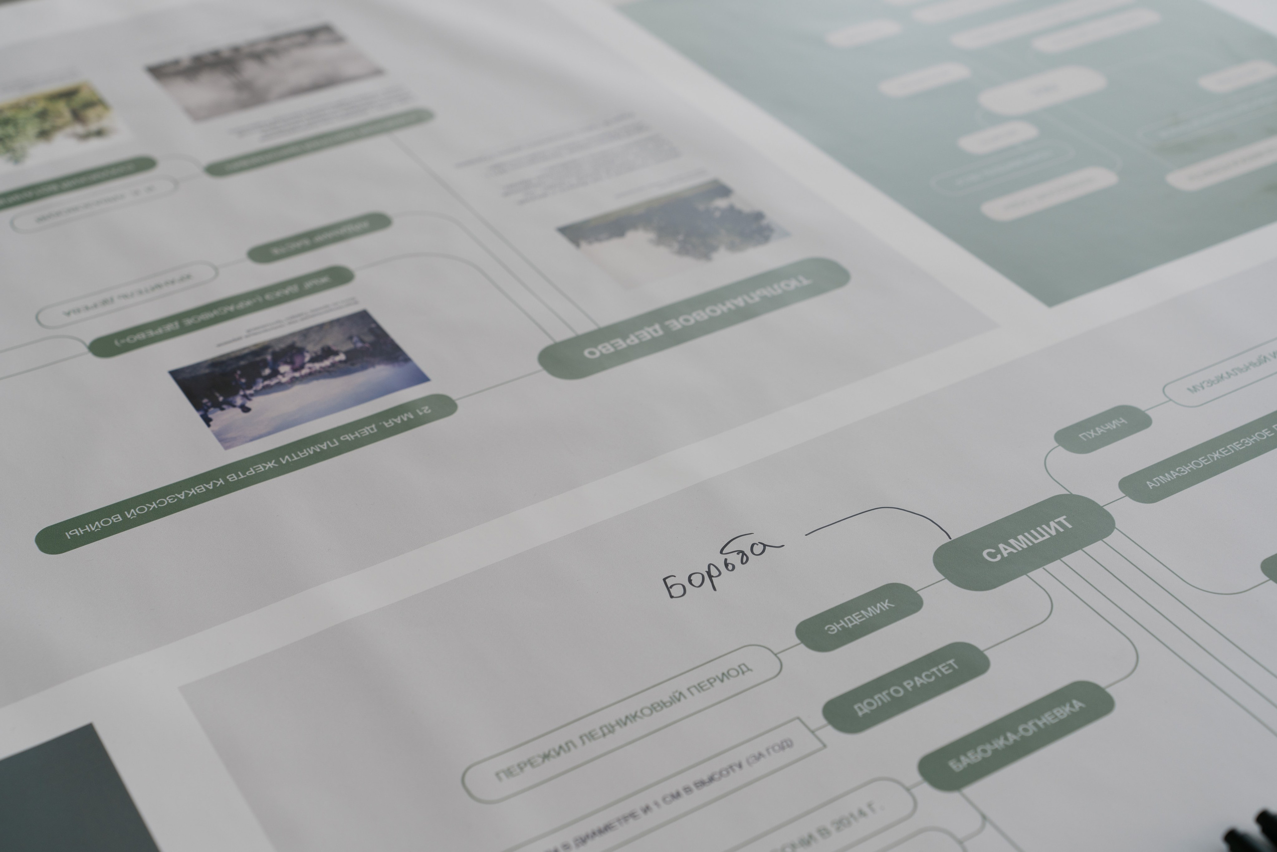 An Island Surrounded by Land. HOME