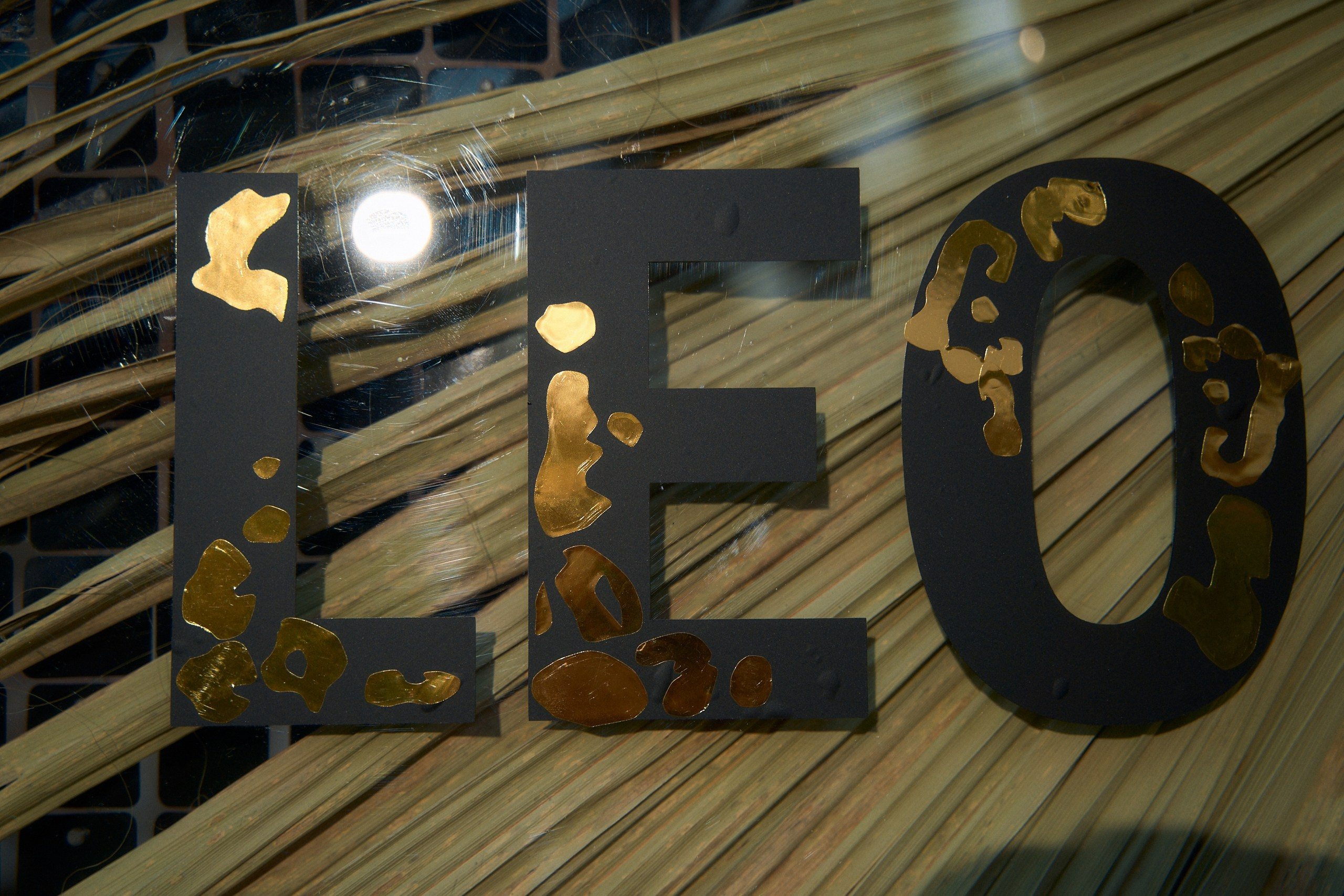 LEO party в Торжке. Павленко Дмитрий фотограф и видеограф в Торжке