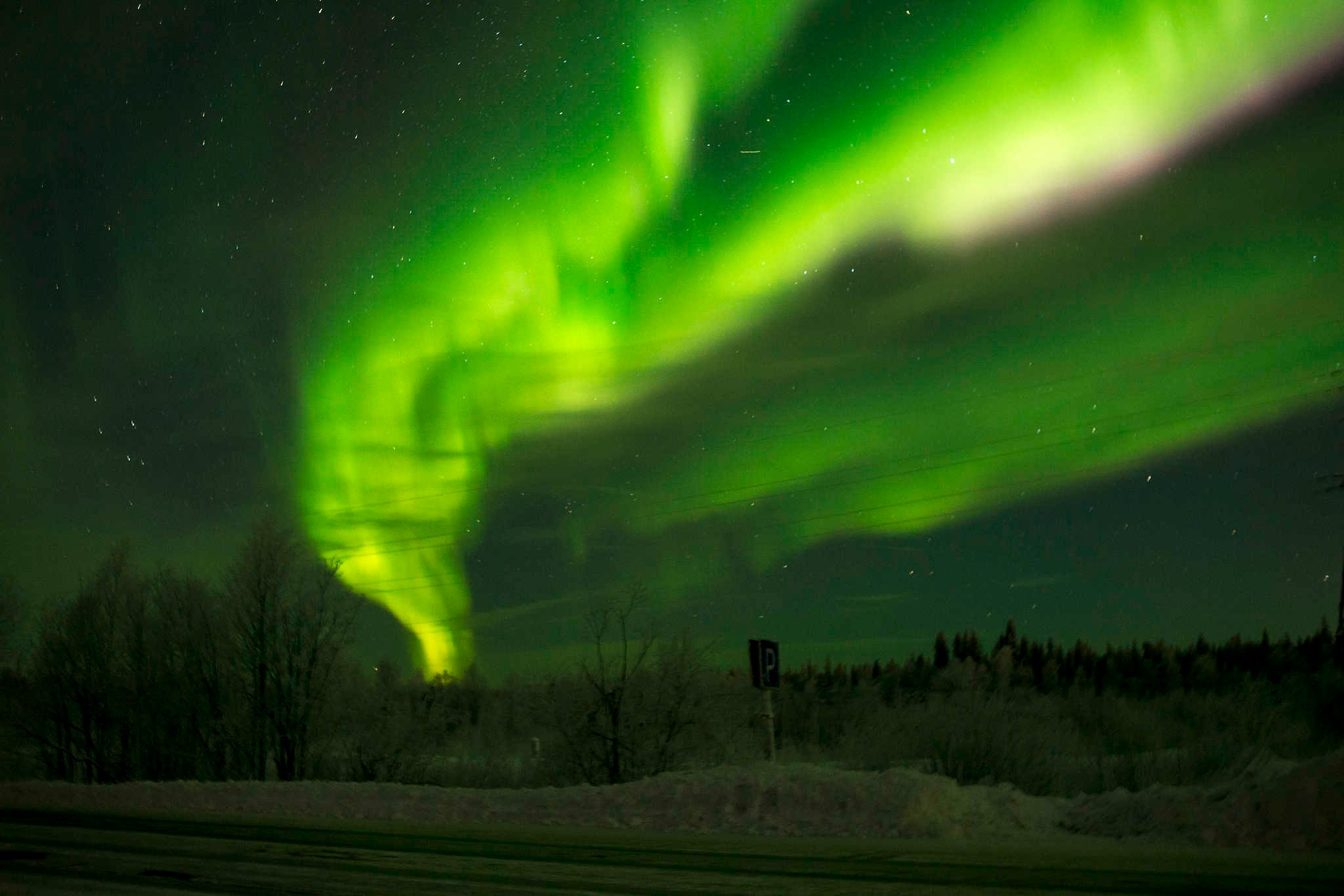 Фототур к северным оленям и саамам. 5–9 марта