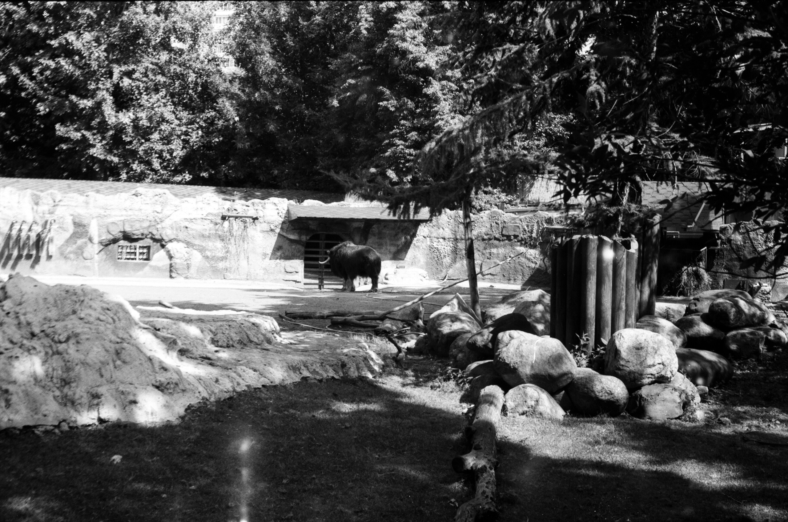 Альбом пленочных ЧБ-фото. Репортажный и семейный фотограф — Шелихов Сергей