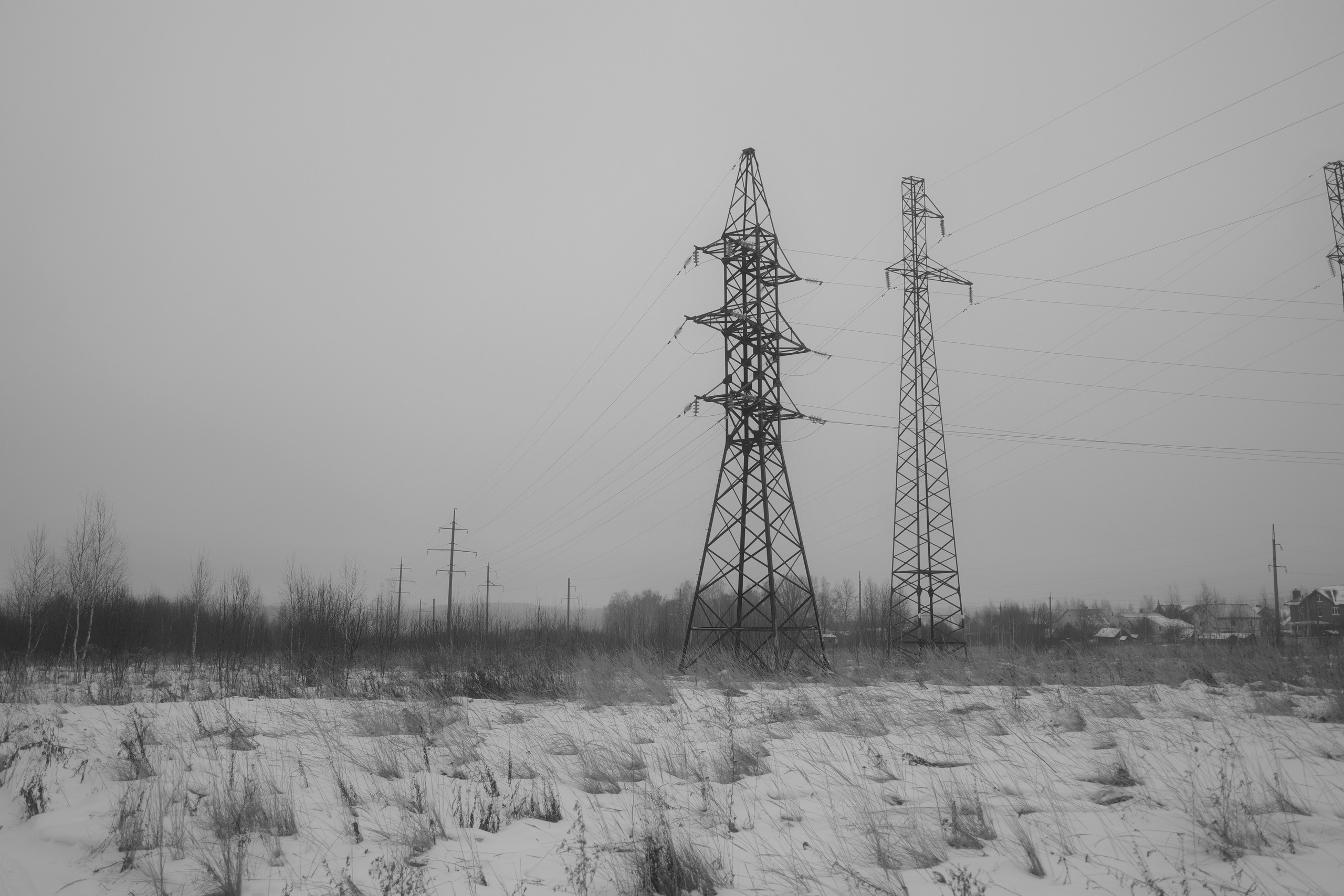 — 2025. Фотограф Злата Спицына