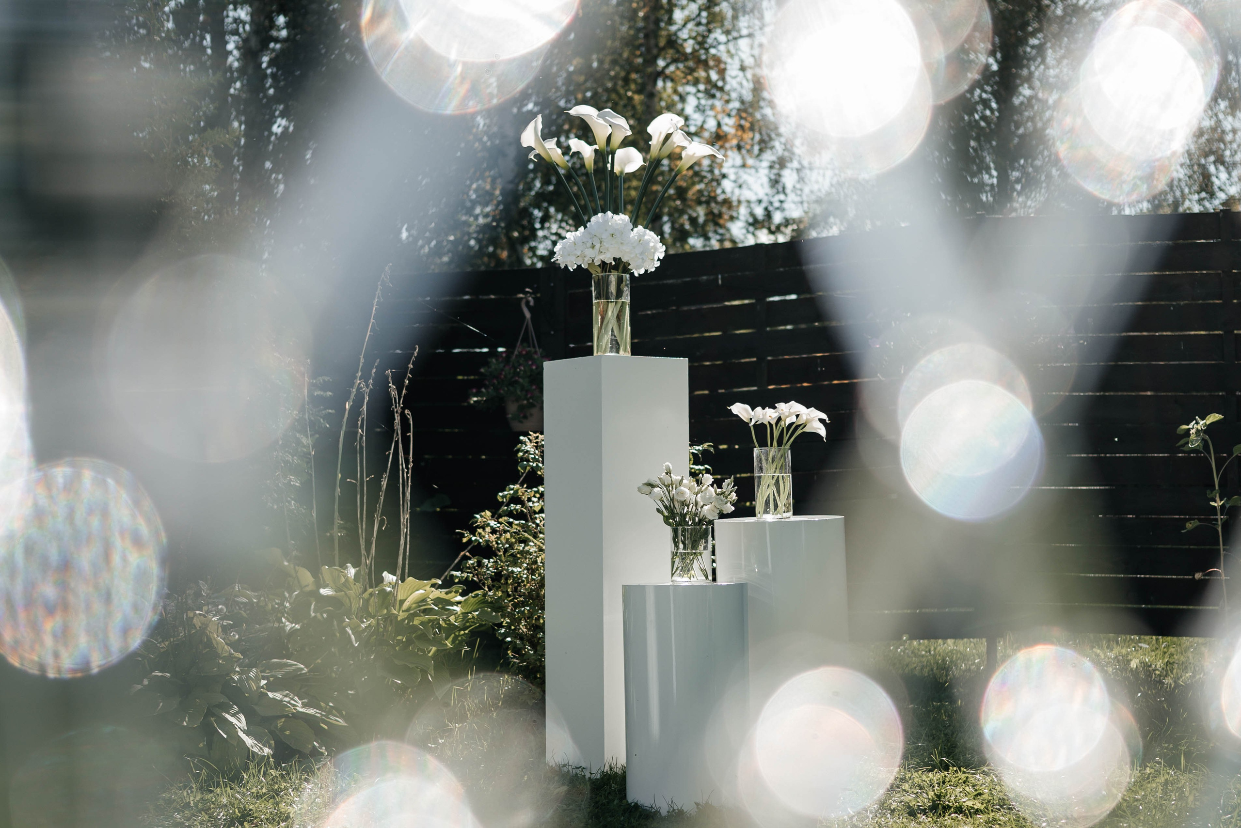 Никита&Яна (выездная регистрация). Главная