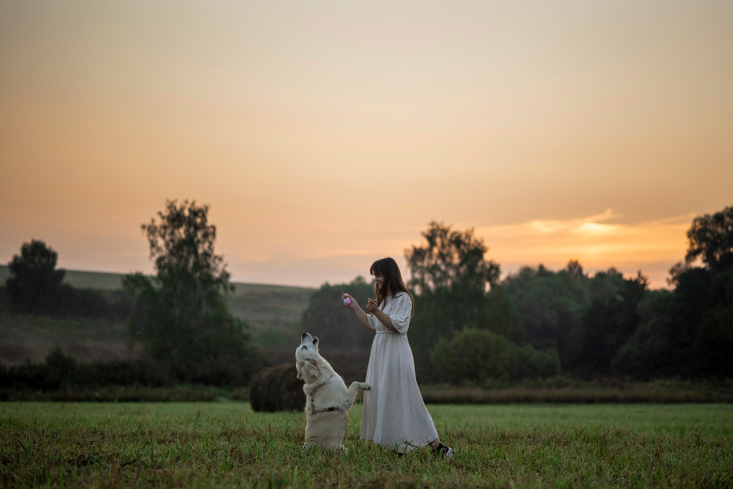 Рассветная съемка с собакой. Анастасия Белаш