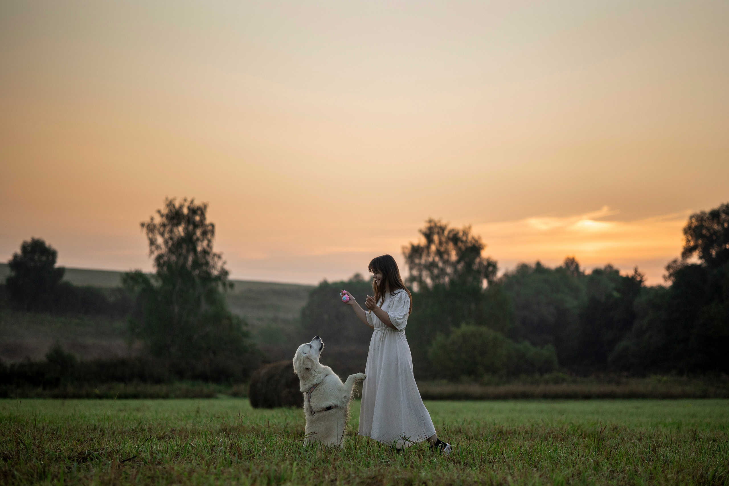 Рассветная съемка с собакой. Анастасия Белаш