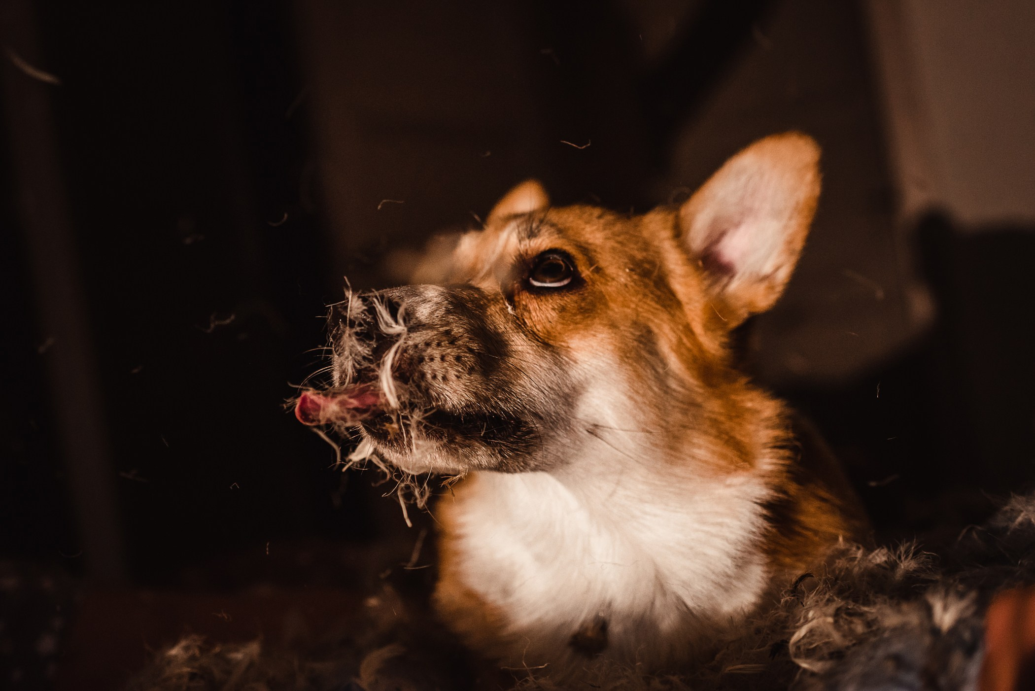 Пижамная вечеринка Тани и Димы. Семейный Фотограф в Москве Ирина Хохлова