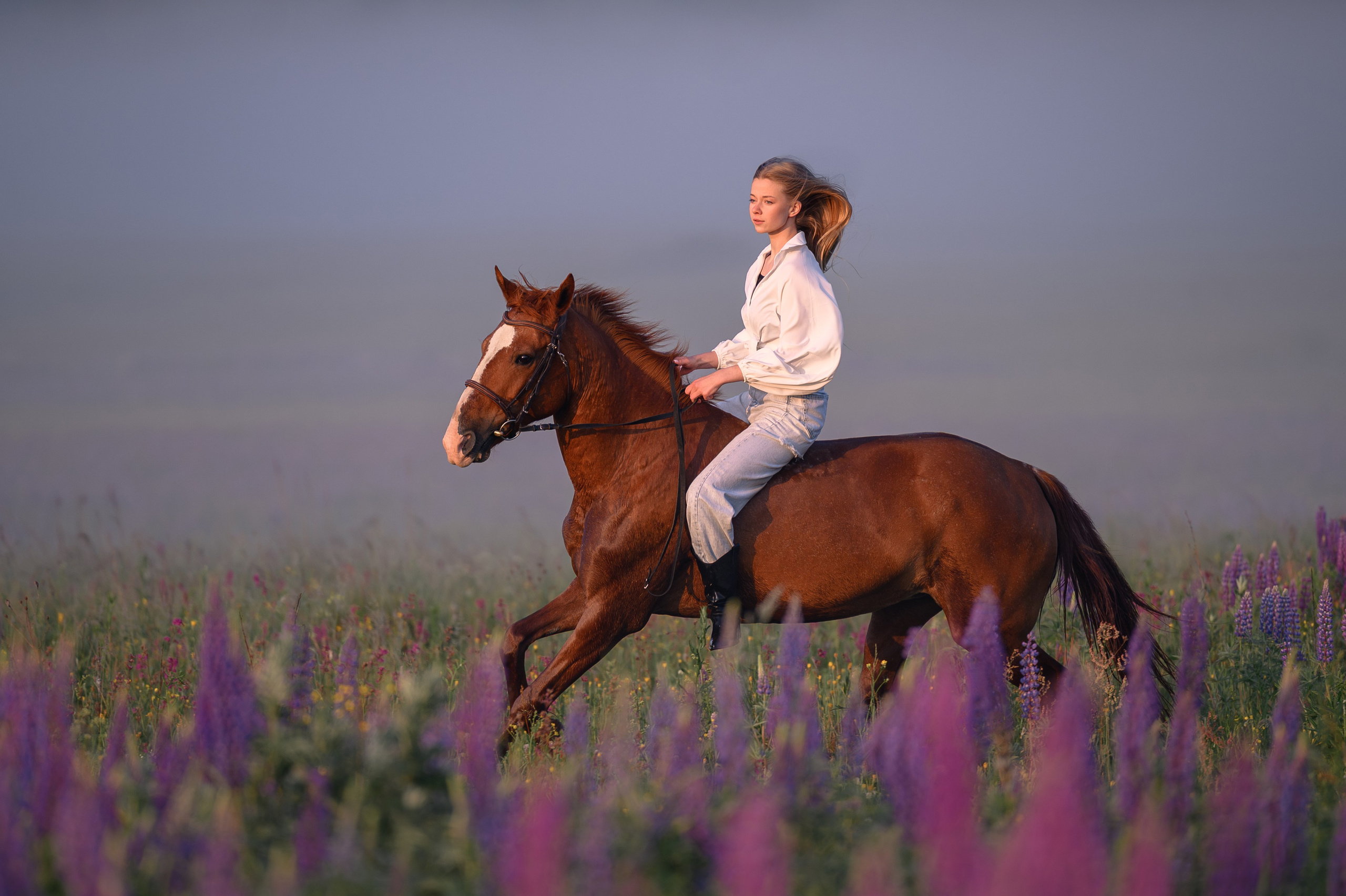 Рассвет в Подмосковье. Фотограф в Ростове —на — Дону