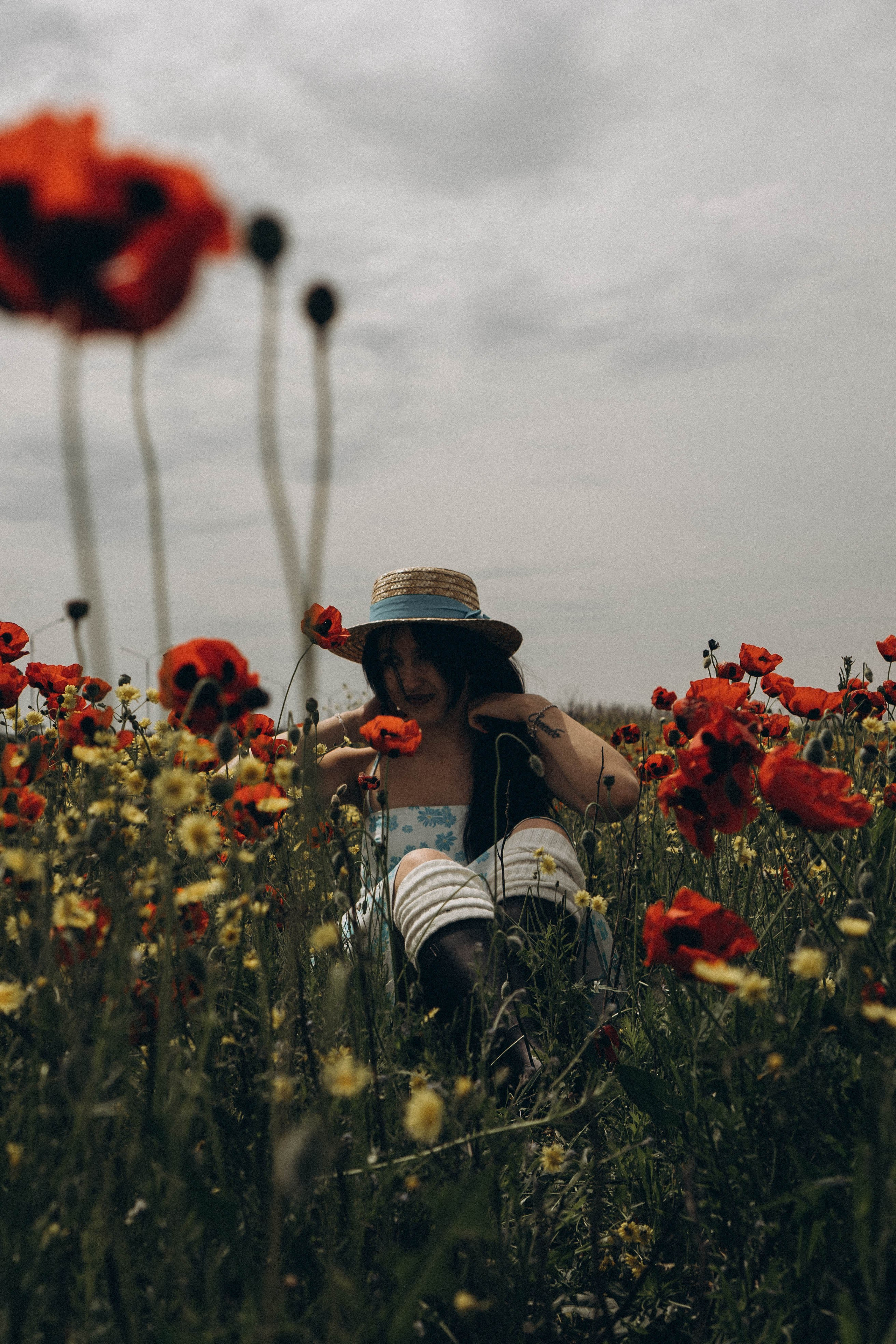Цветочная поляна. Профессиональный фотограф, Санкт-Петербург — Виктория Богомолова