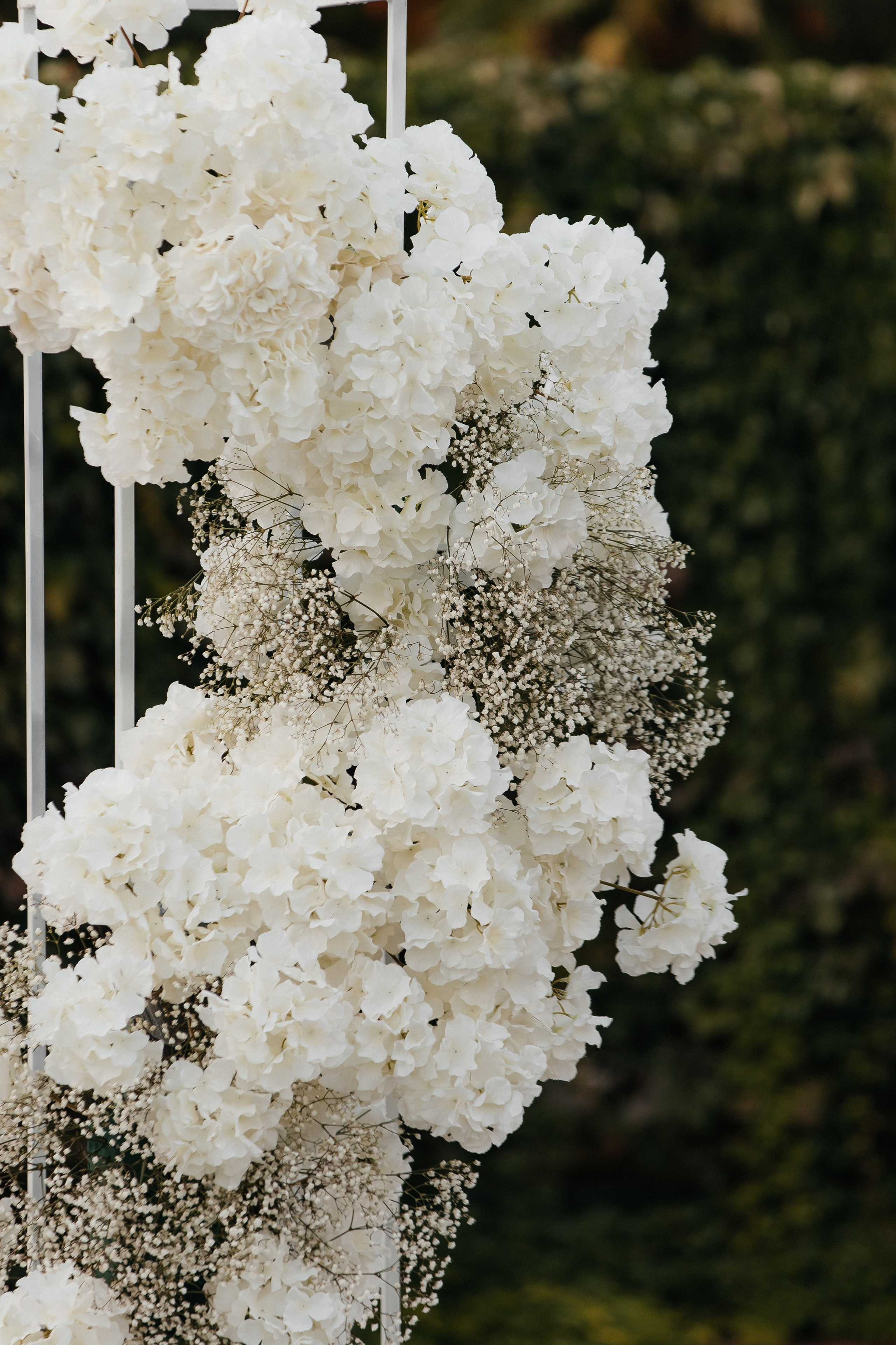 V&A. Фотограф Таганрог Хребет София
