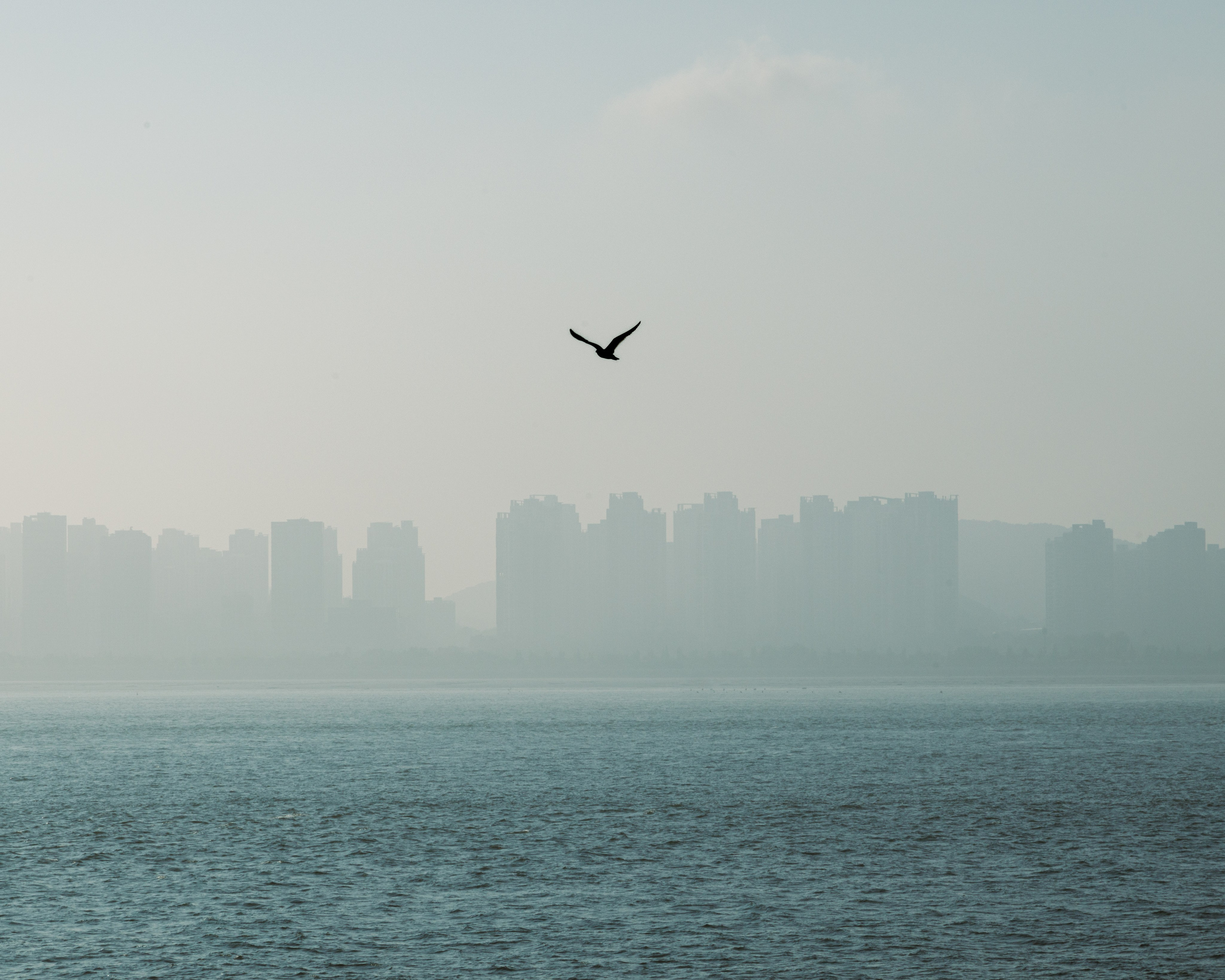 Южная Корея. Фотограф Павел Подшивалов