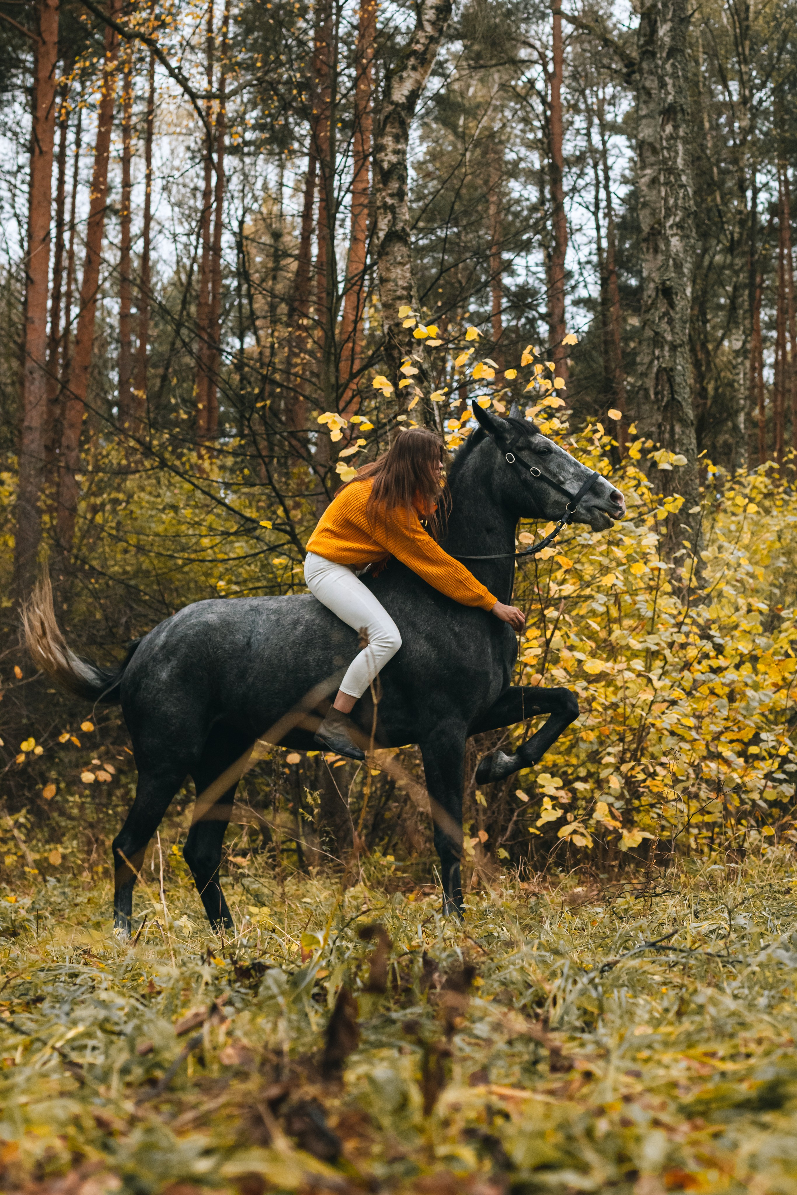 Аня и Джози. Фотограф-анималист Татьяна Степанова