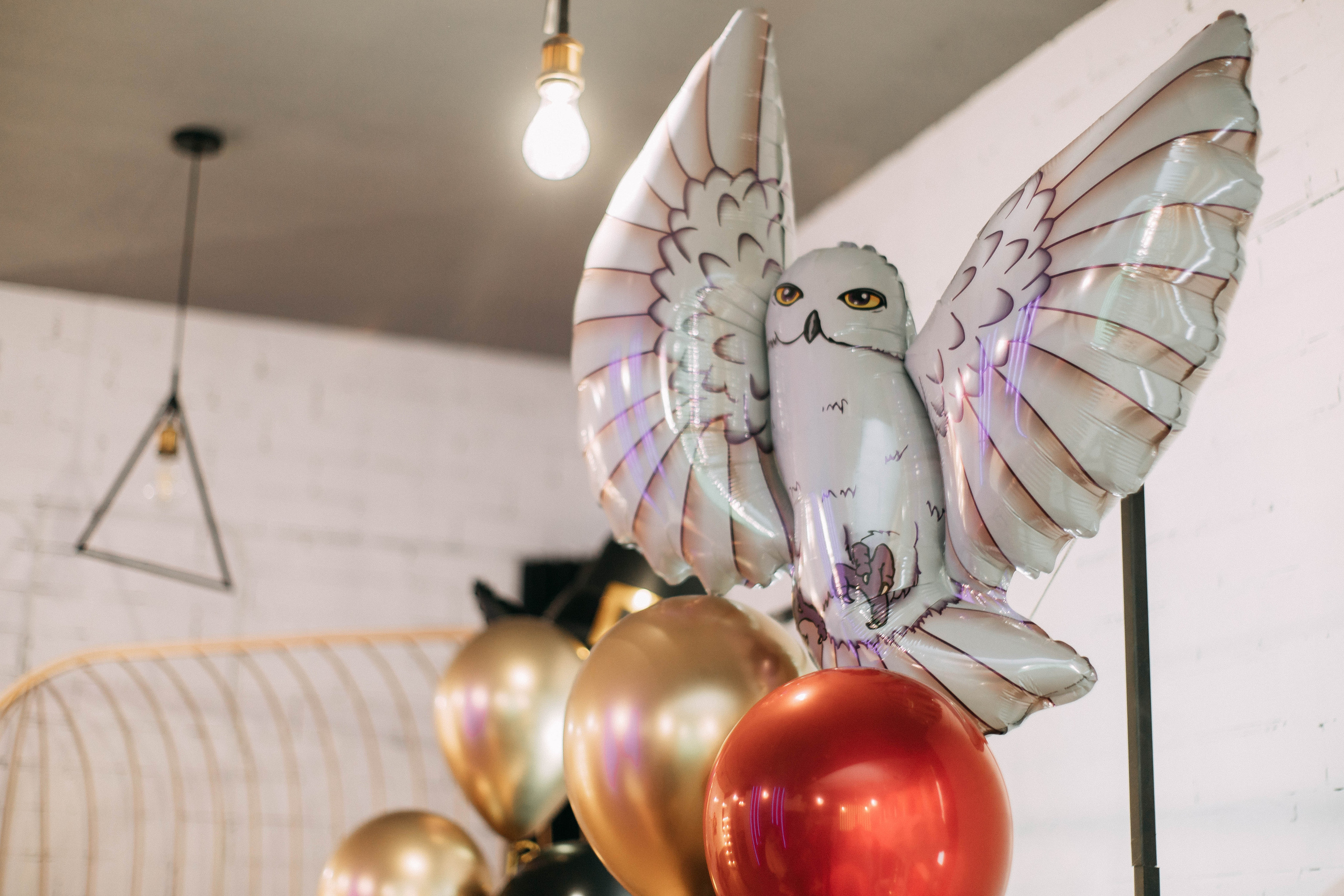 Аделине 6!. Фотограф в Рязани Мозжерова Юлия