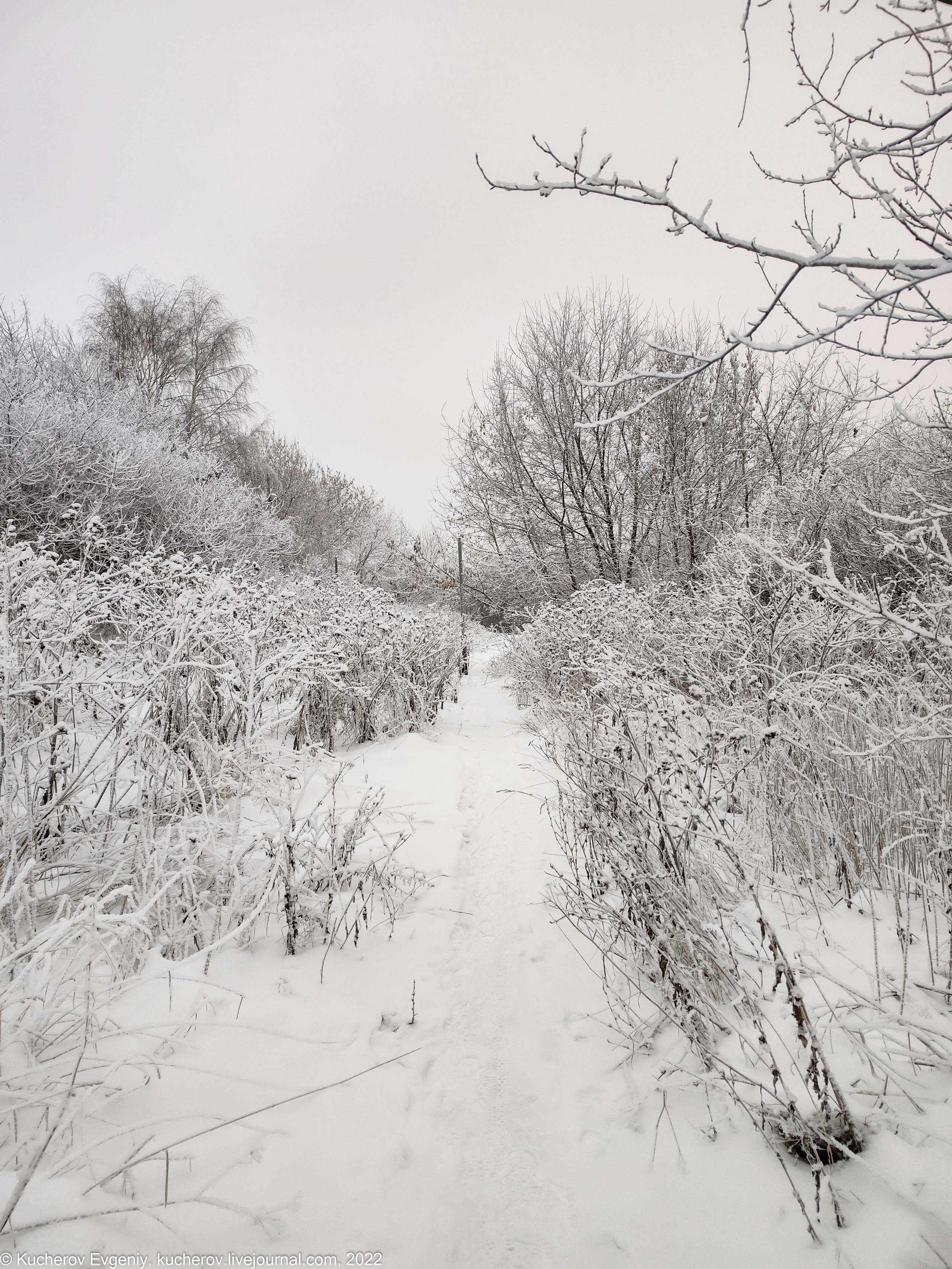 Коломенское. Кучеров Евгений. Фотограф