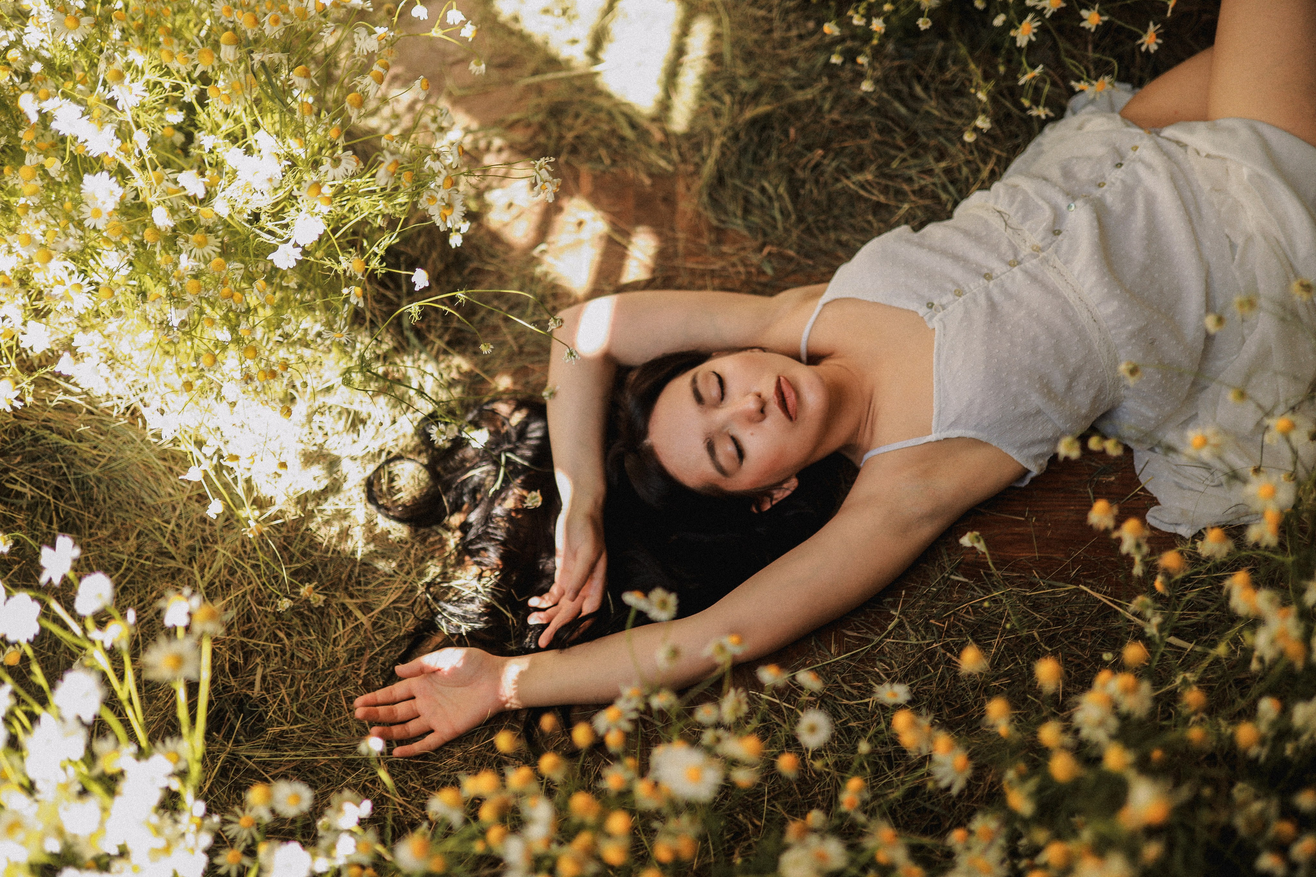 Сон в летнюю ночь | Ромашковое поле