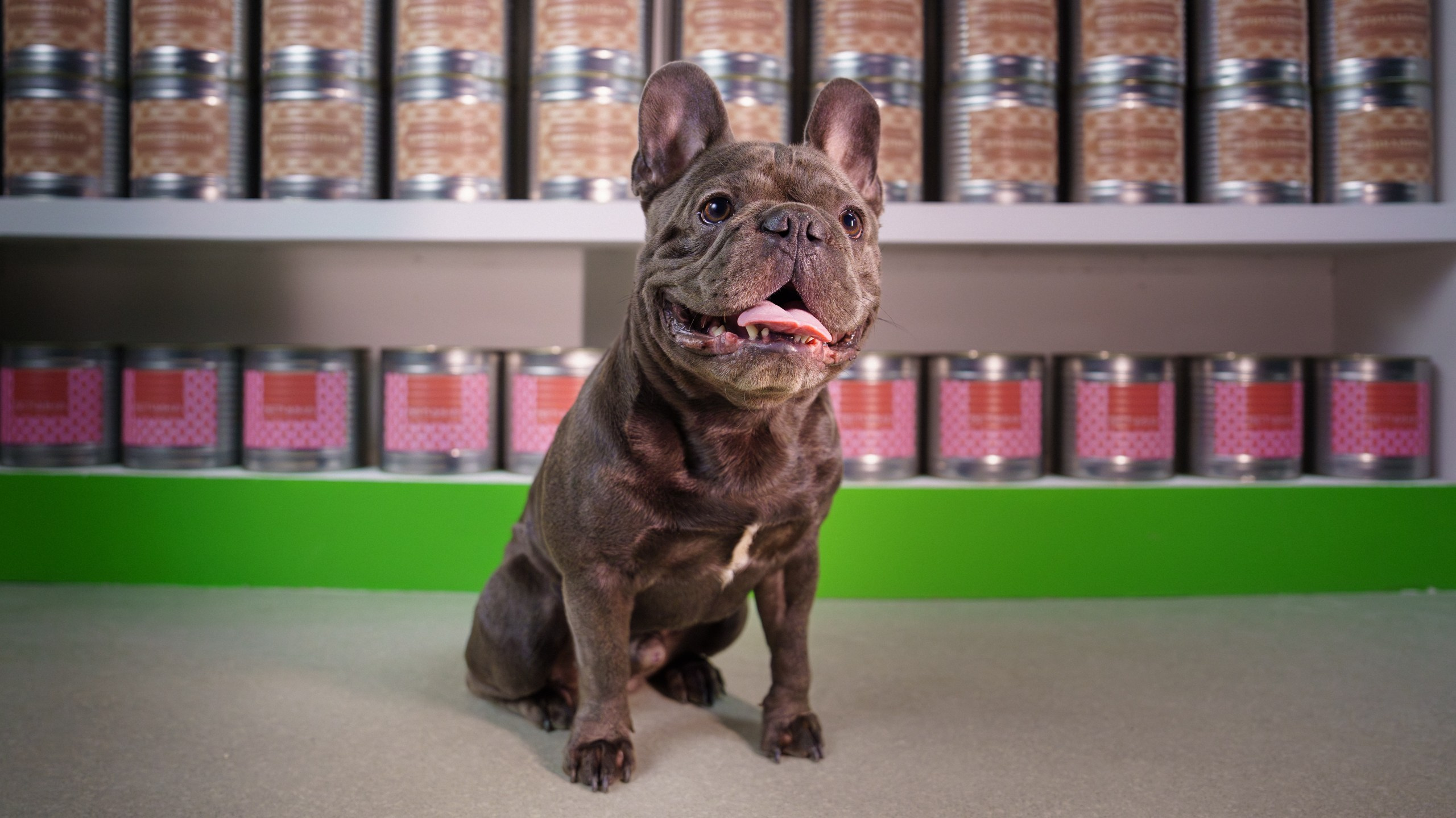 Сбер спасибо