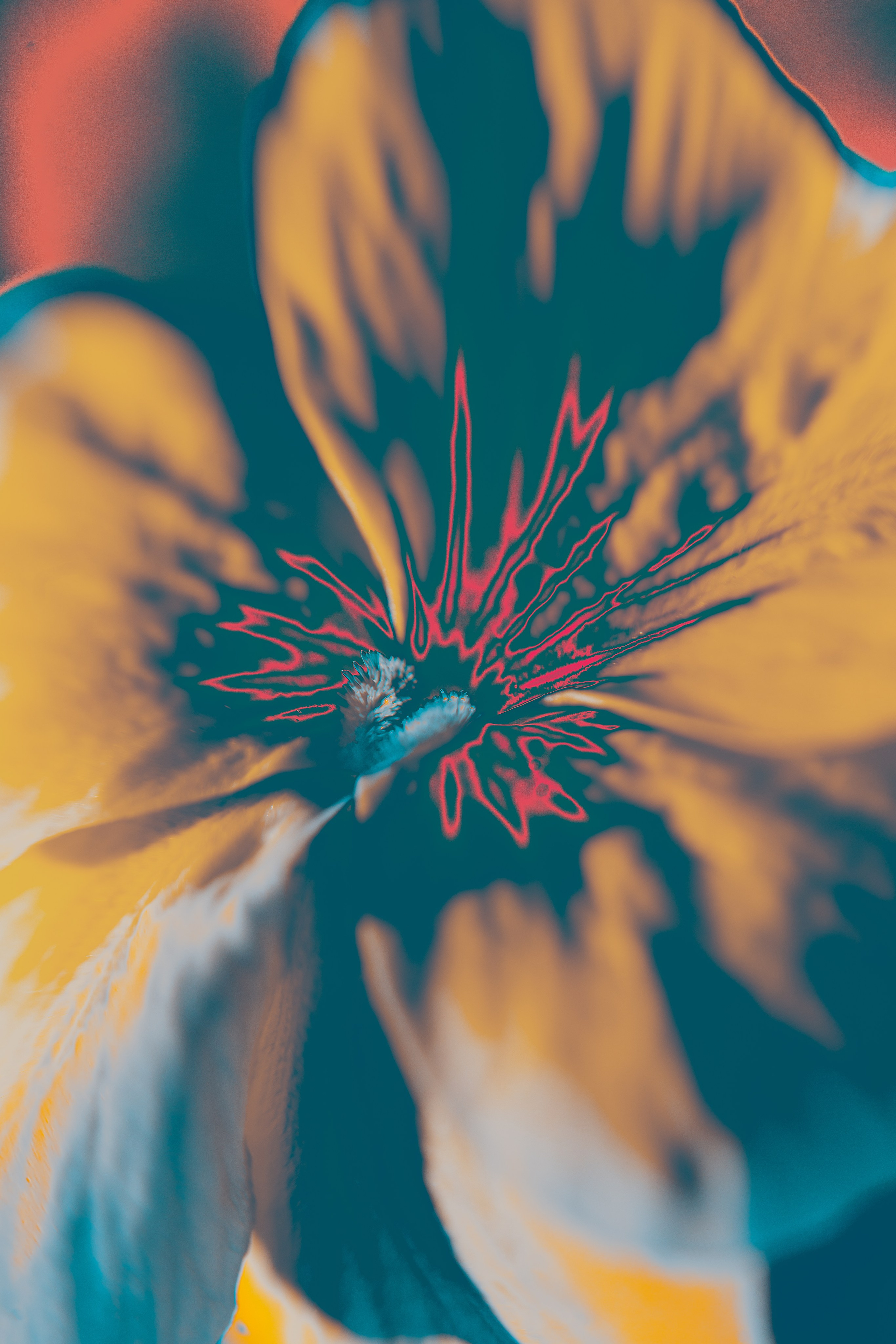 NON-EXISTENT FLOWERS. Фотограф Евгений Чащихин RGB АРХИТЕКТОР в Перми