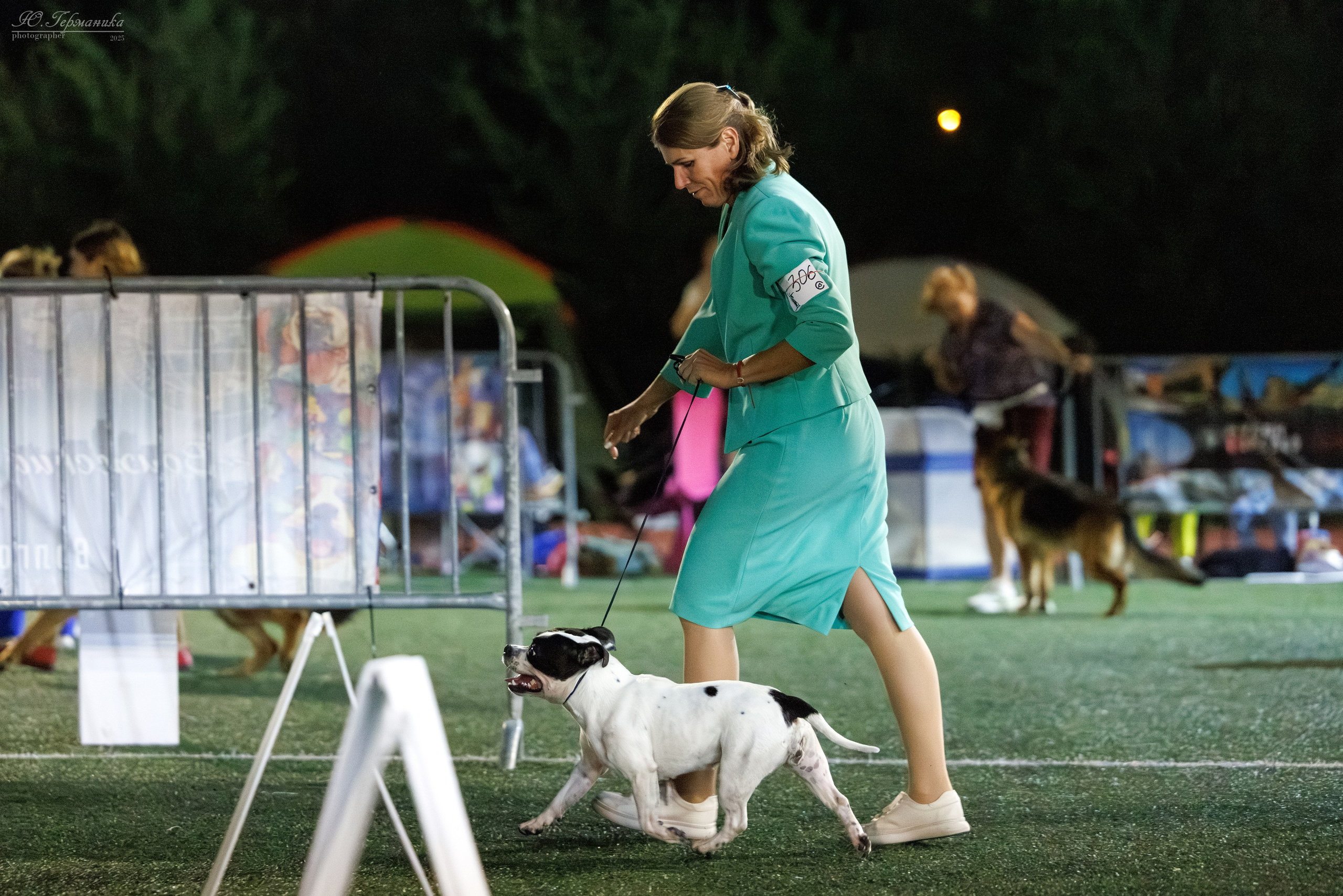 Калининград 25-27.07 Волгоград 1-3.08 2025. Фотограф-анималист Юлия Германика