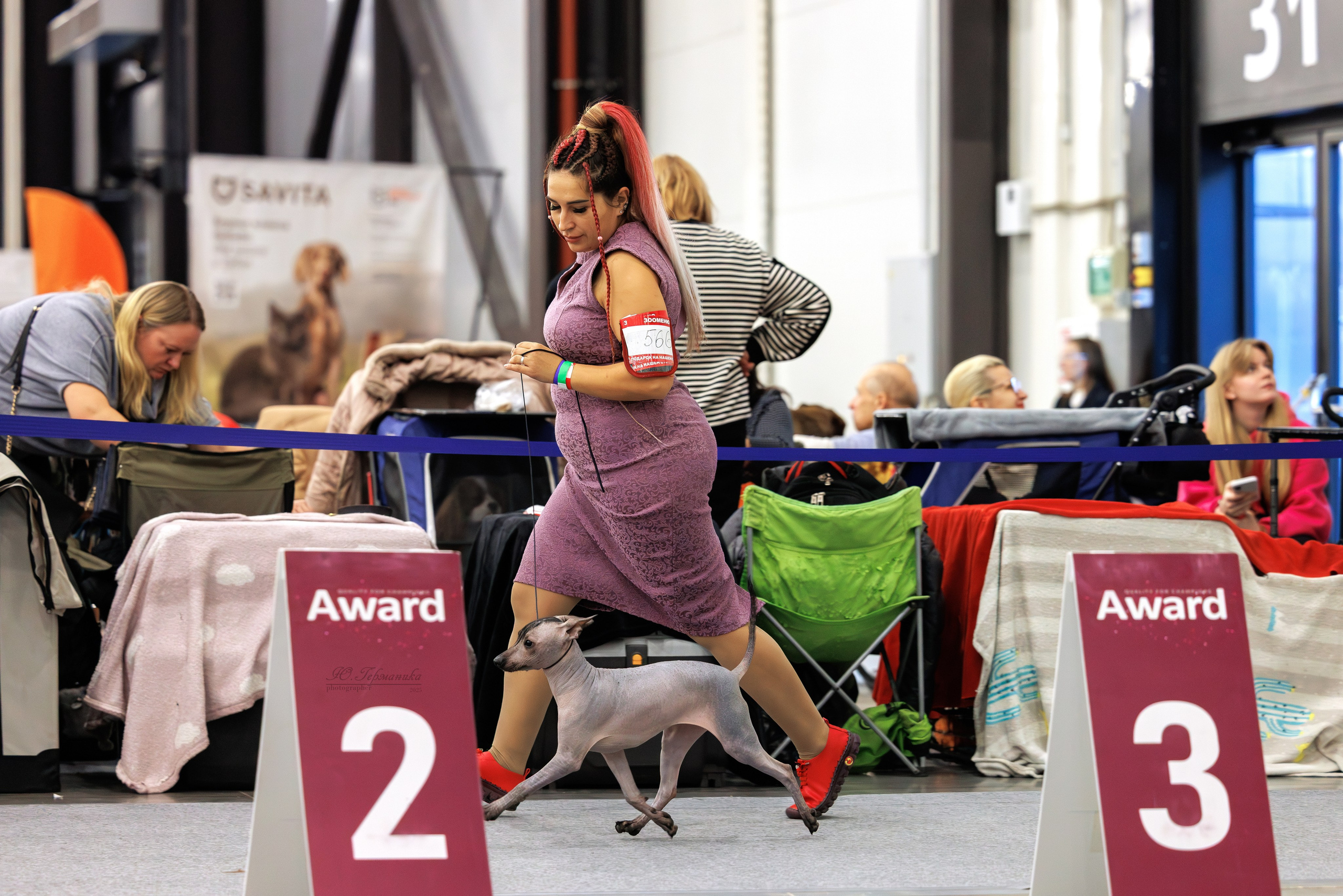 Питер 12-13.12.2025. Фотограф-анималист Юлия Германика