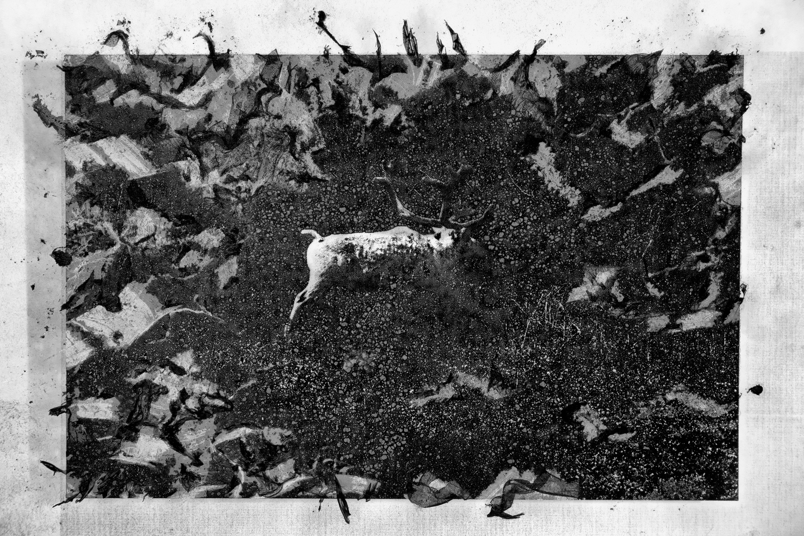 Boundaries of reality. Irina Borodina