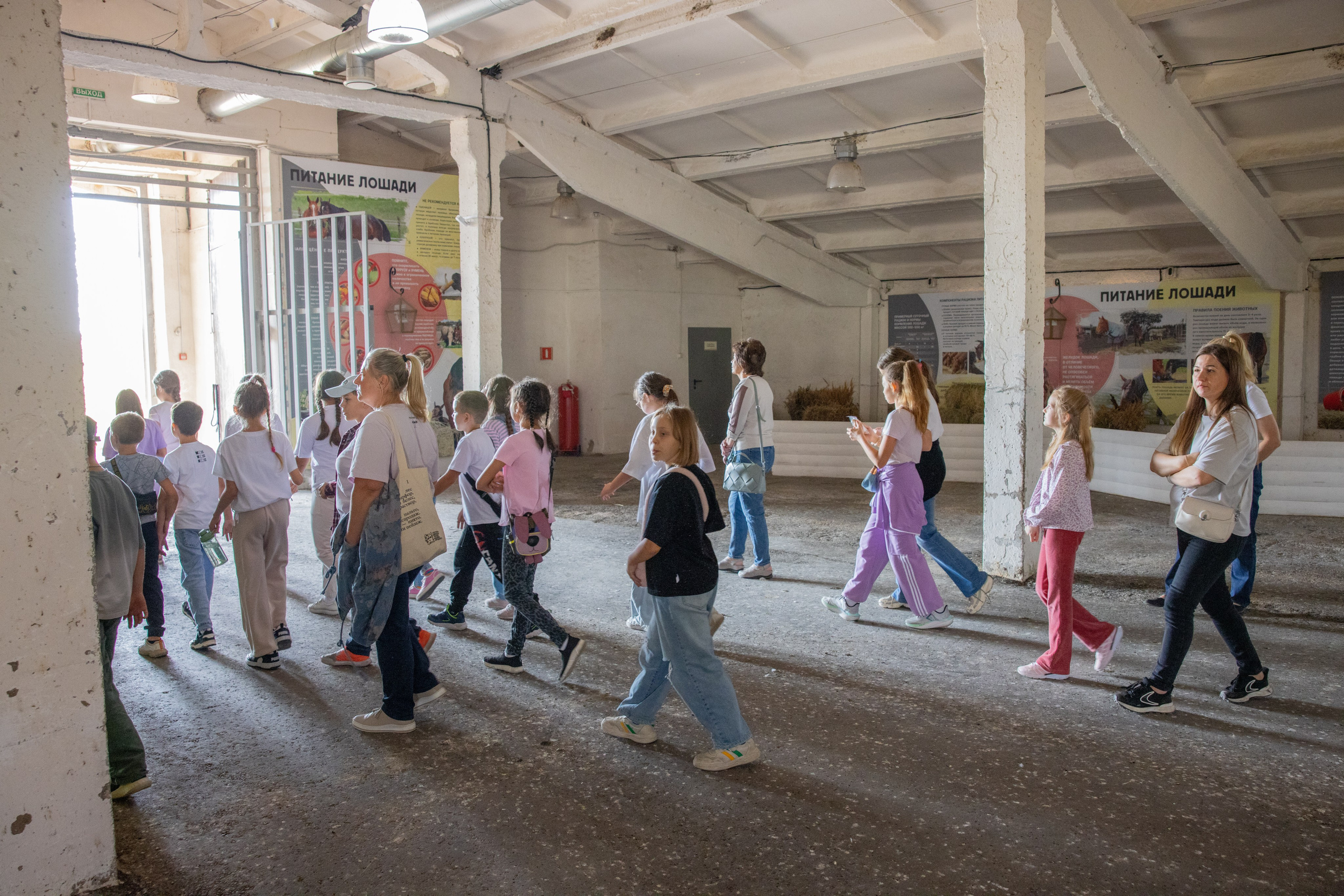 Поездка на поле Кулеково. Фотограф в Туле Крупский АнДРей. Фотостудия «КАДР71» в Туле