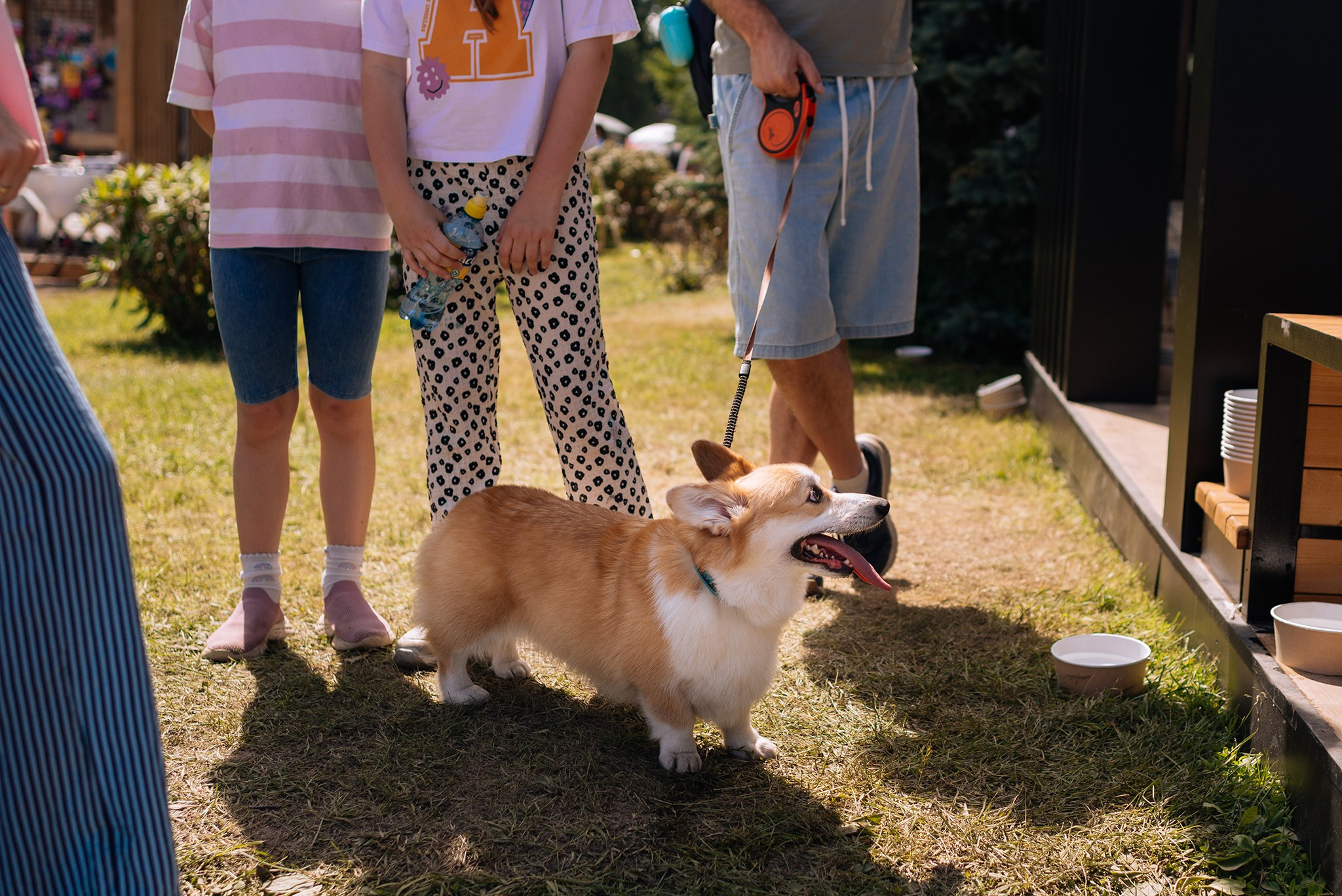 PETSHOP DAYS. Июнь 26. Репортажный фотограф в Санкт-Петербурге Анастасия Клёпова