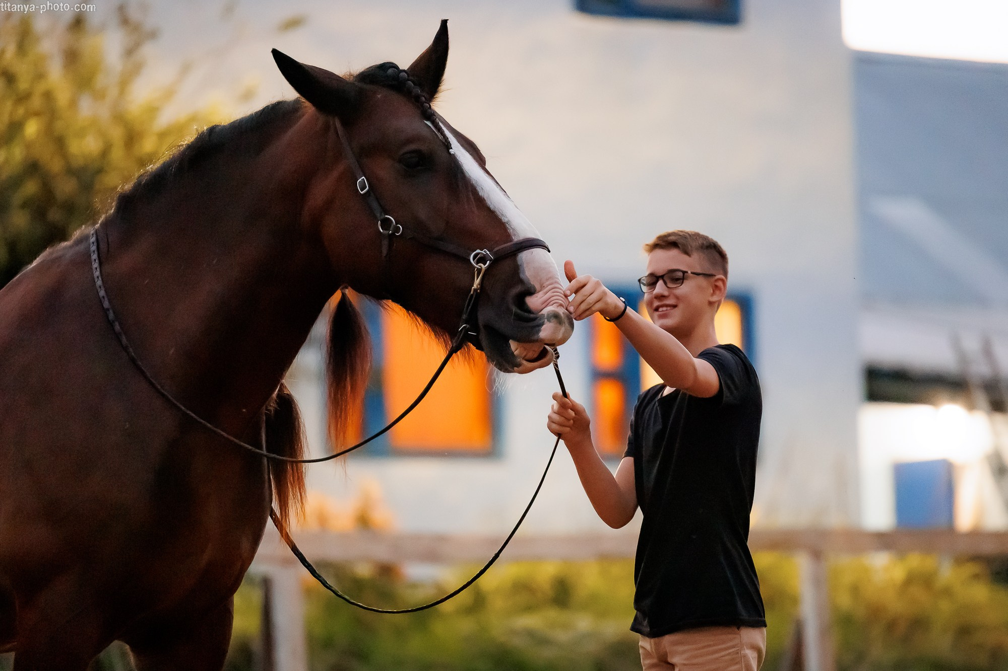 Закатная семейная фотосессия: про Настю и её дружную семью. Фотограф собак, фотограф-анималист Аня Титова (Titanya). Москва