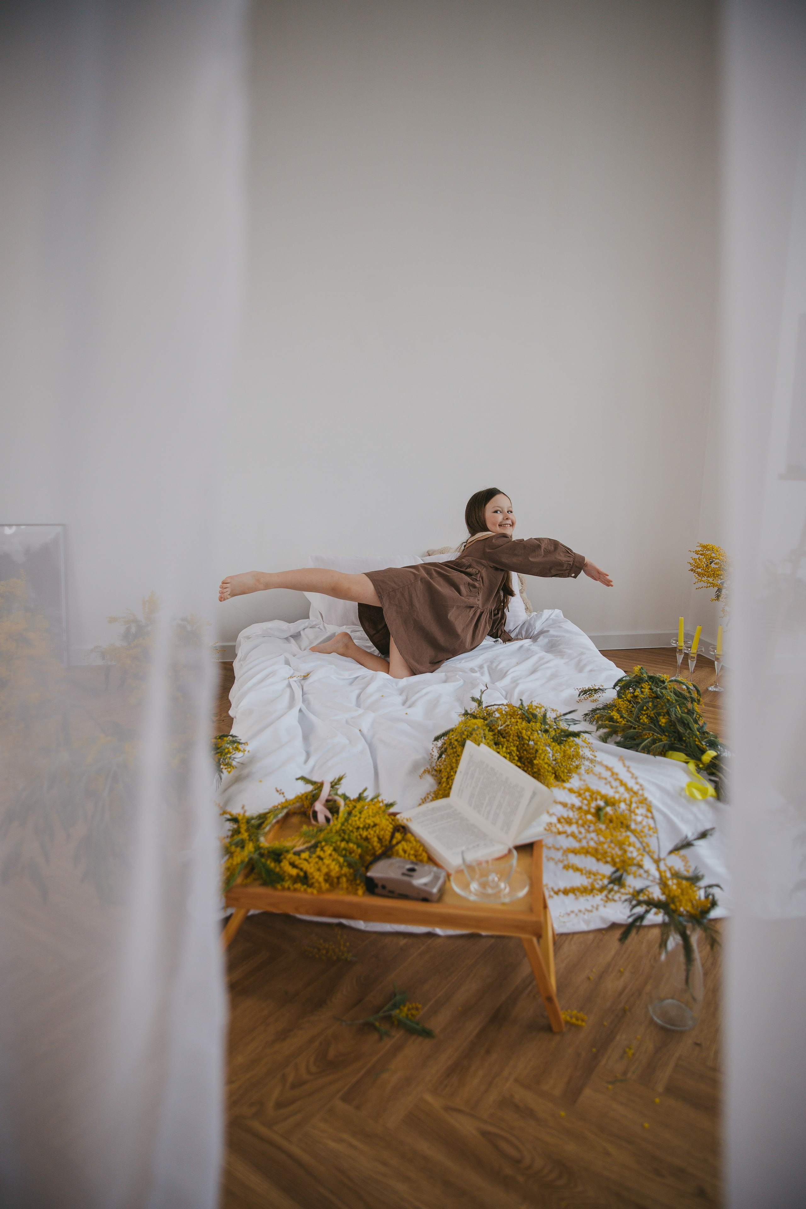 Мимозная сказка