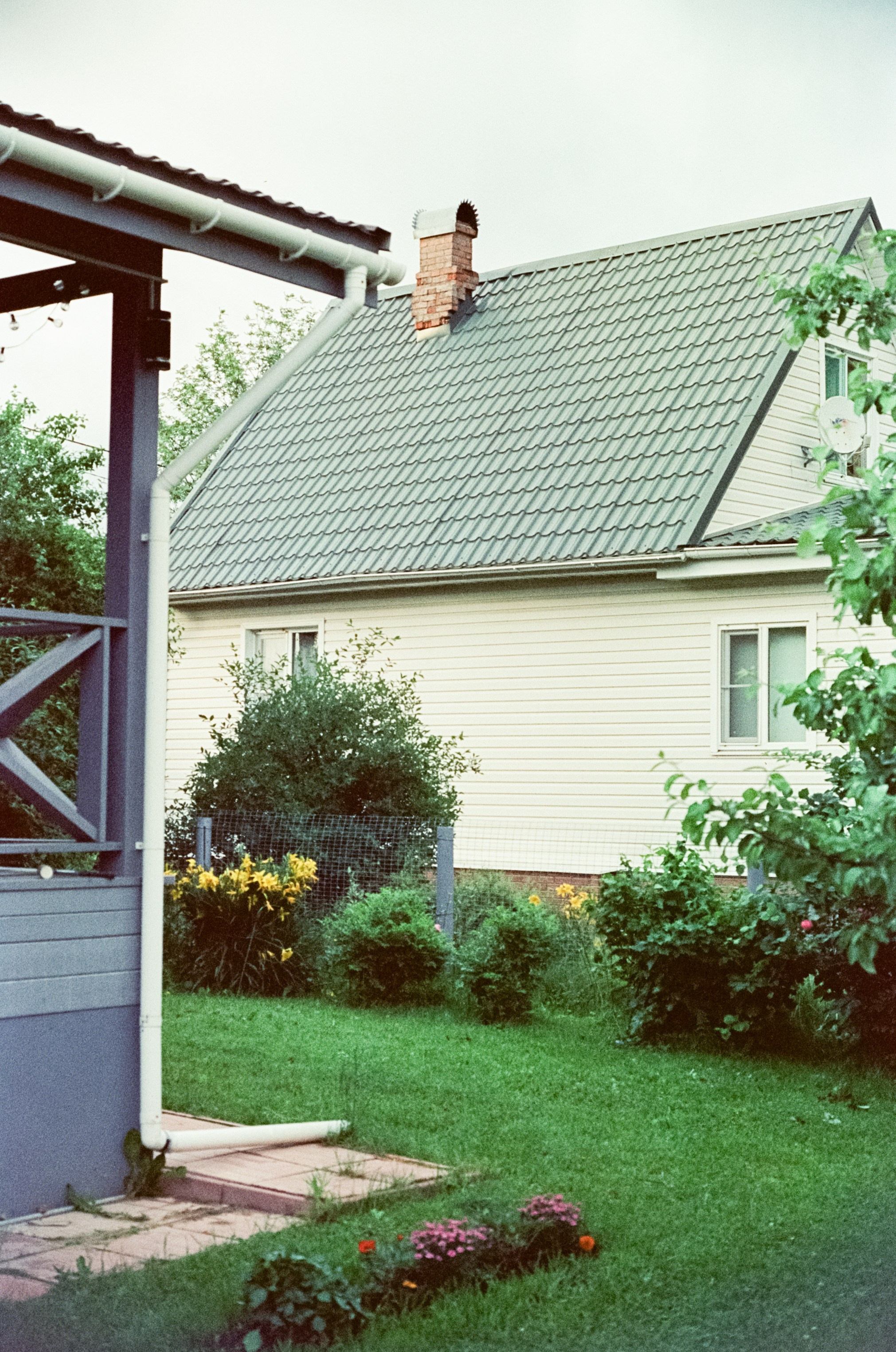 Nikon F100 примеры фотографий