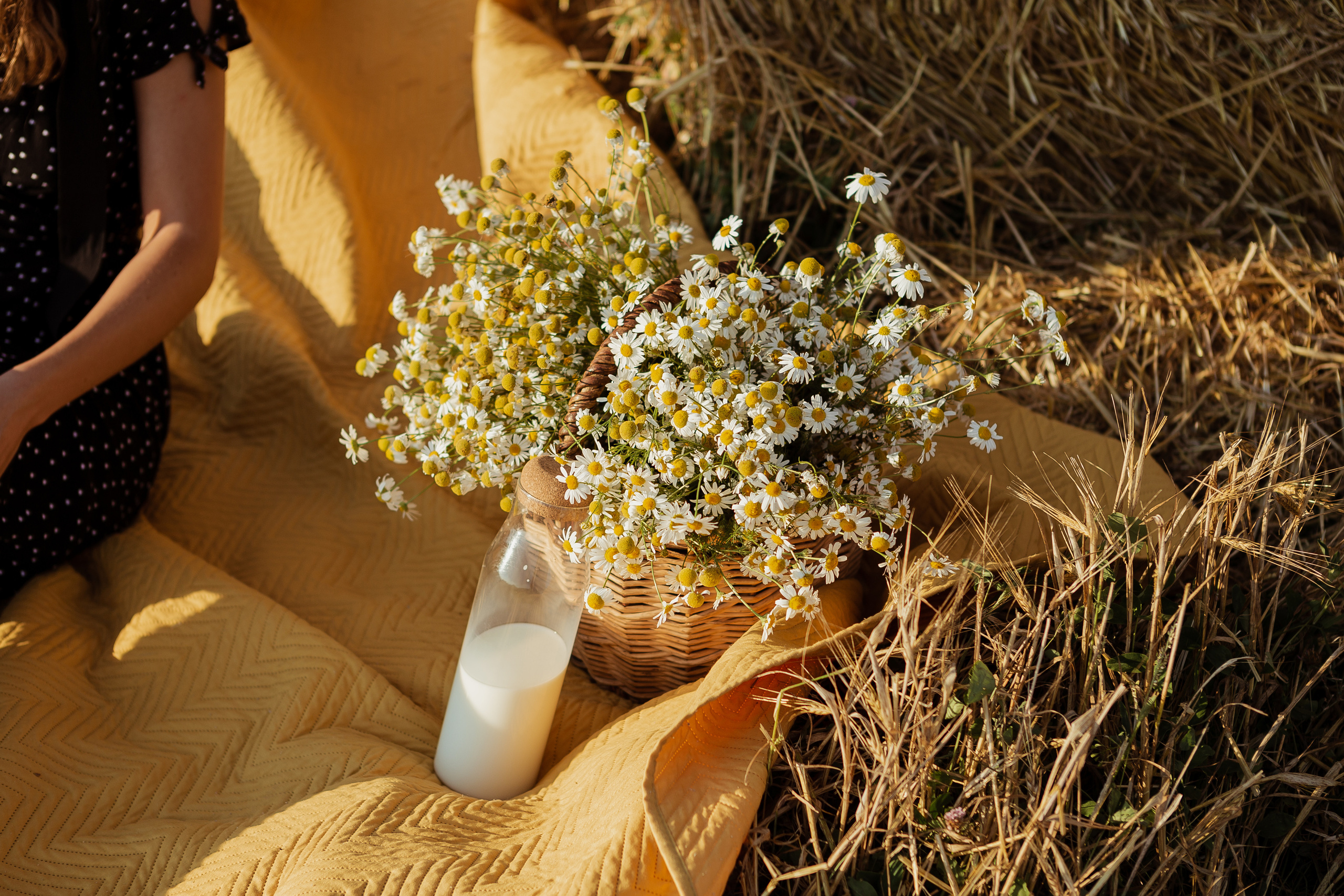 Прогулка в поле. ФОТОГРАФ Маргарита Сивакова | Ярославль Кострома Москва