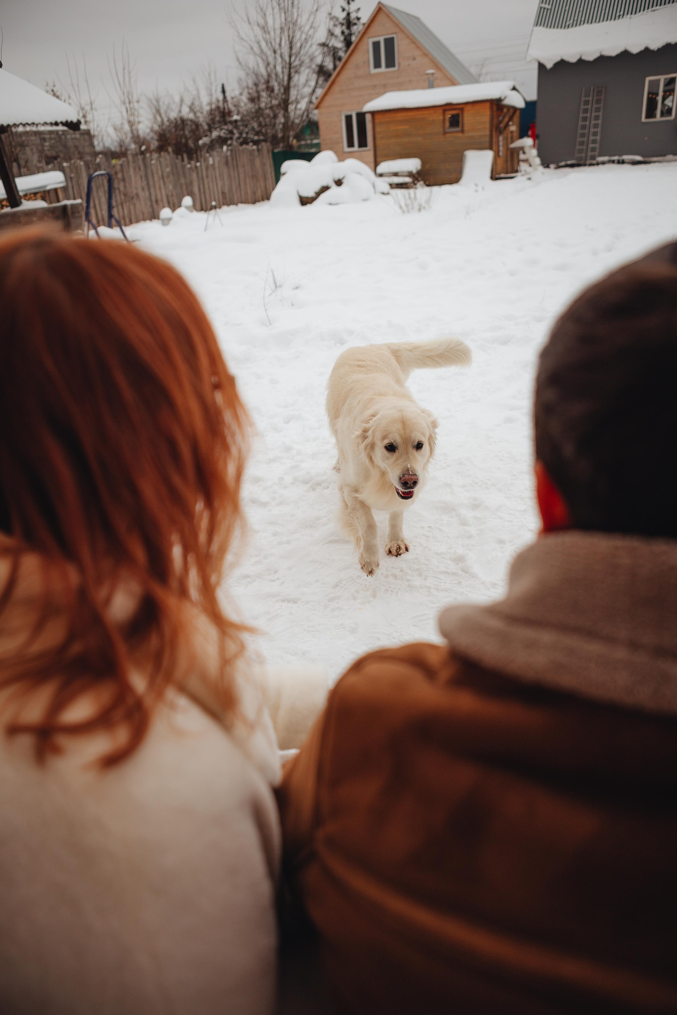 Дачная история. ФОТОГРАФ Маргарита Сивакова | Ярославль Кострома Москва
