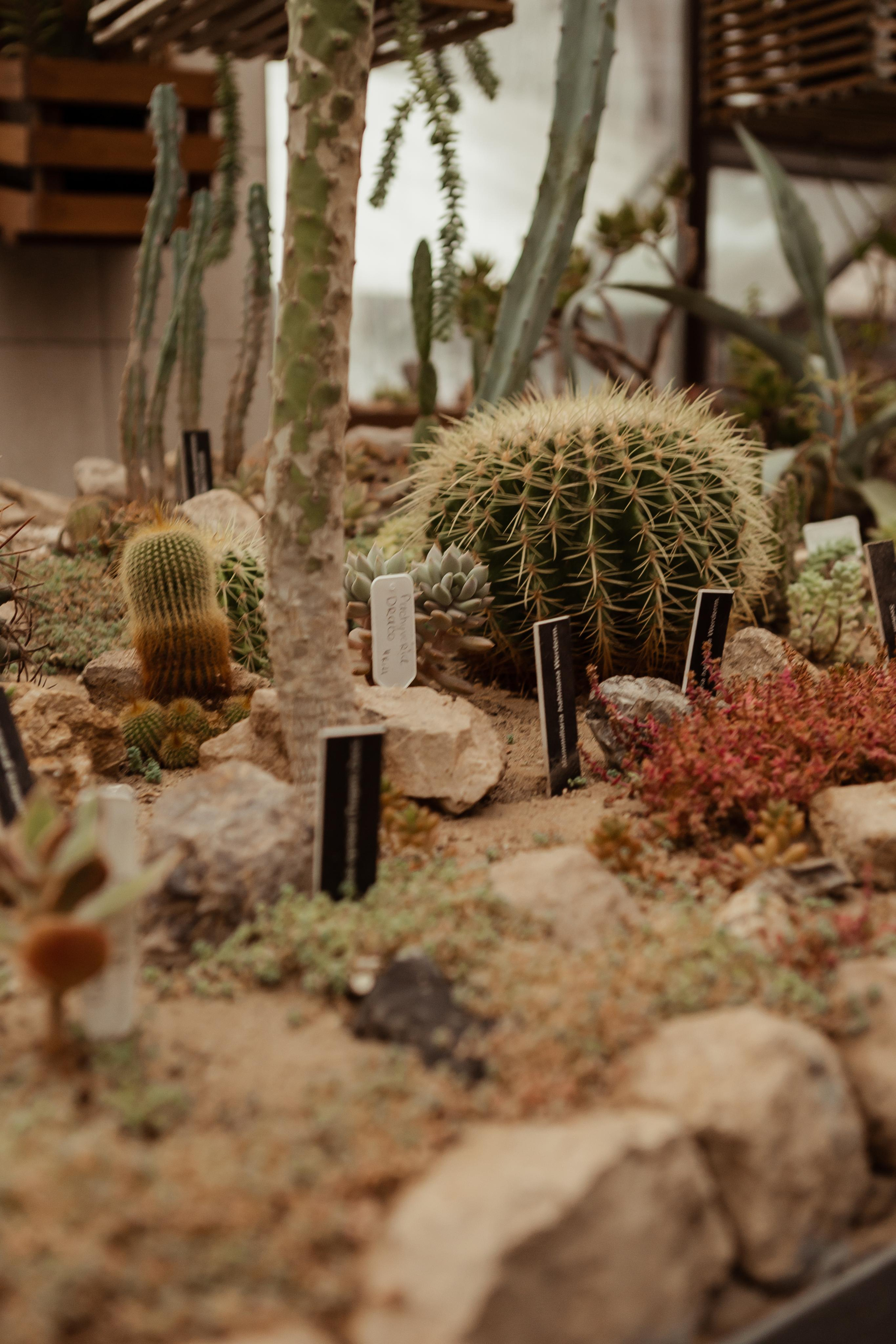 Виктория & Станислав (с банкетом). ФОТОГРАФ Маргарита Сивакова | Ярославль Кострома Москва