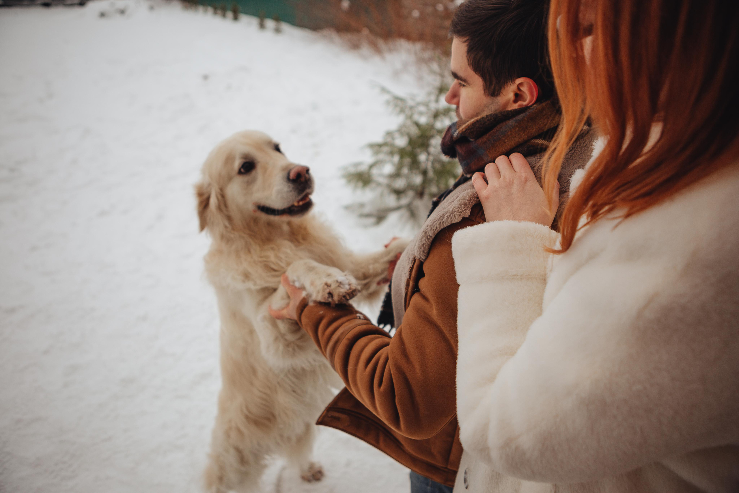 Дачная история. ФОТОГРАФ Маргарита Сивакова | Ярославль Кострома Москва