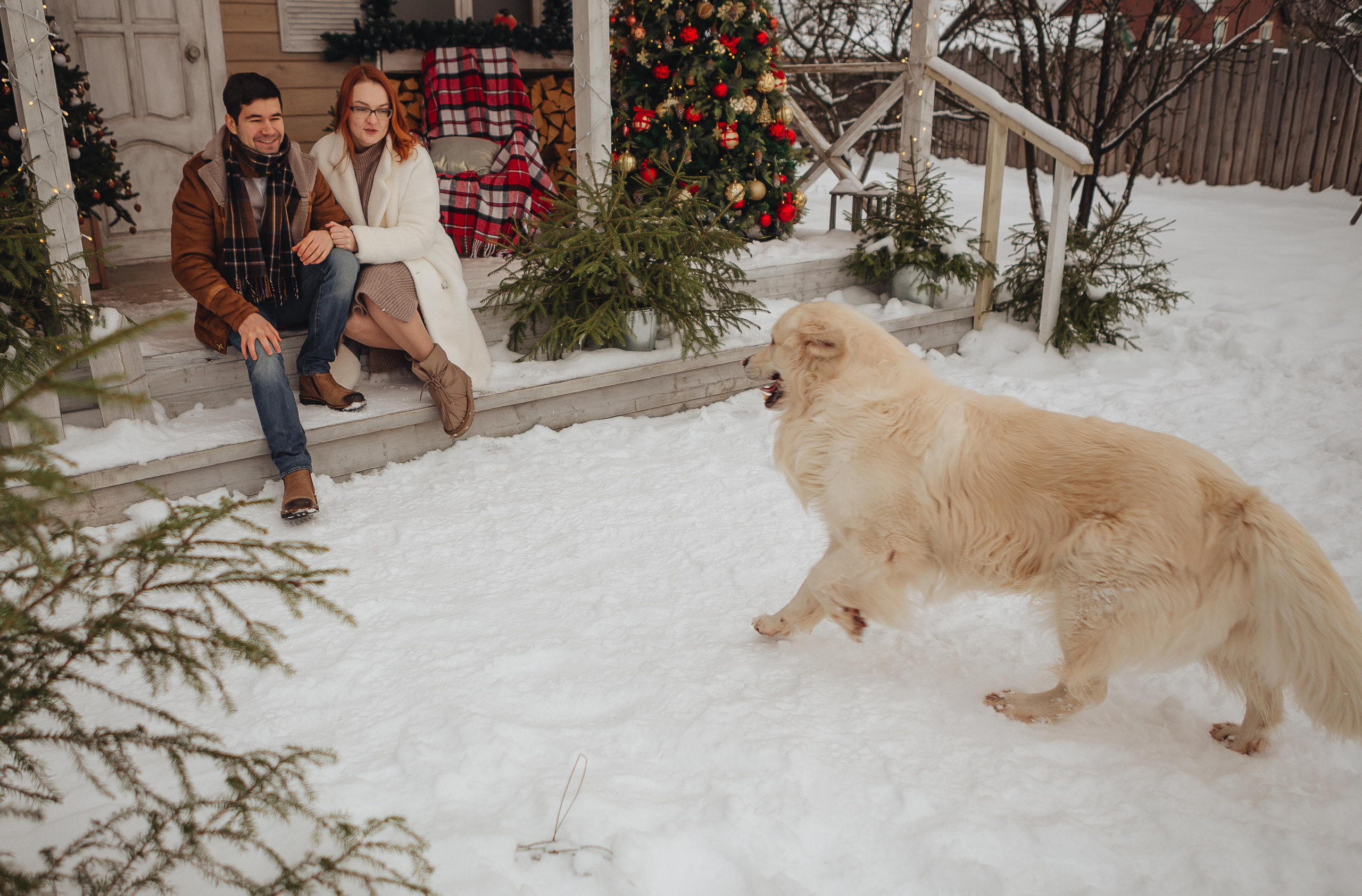 Дачная история. ФОТОГРАФ Маргарита Сивакова | Ярославль Кострома Москва