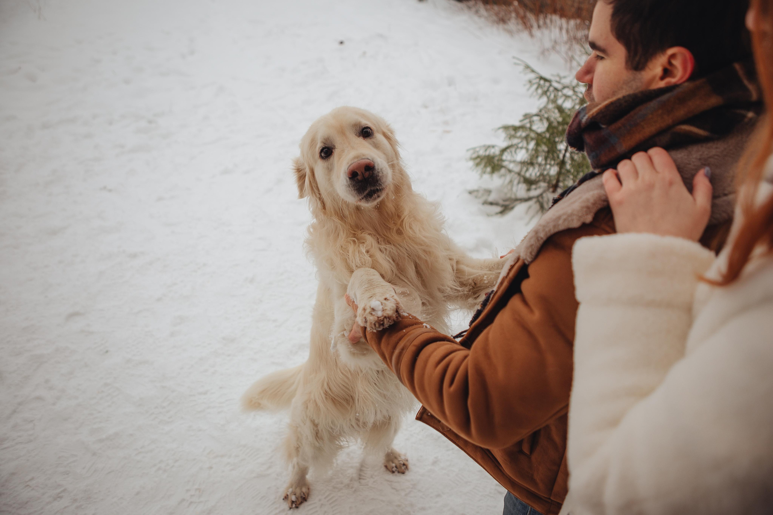 Дачная история. ФОТОГРАФ Маргарита Сивакова | Ярославль Кострома Москва