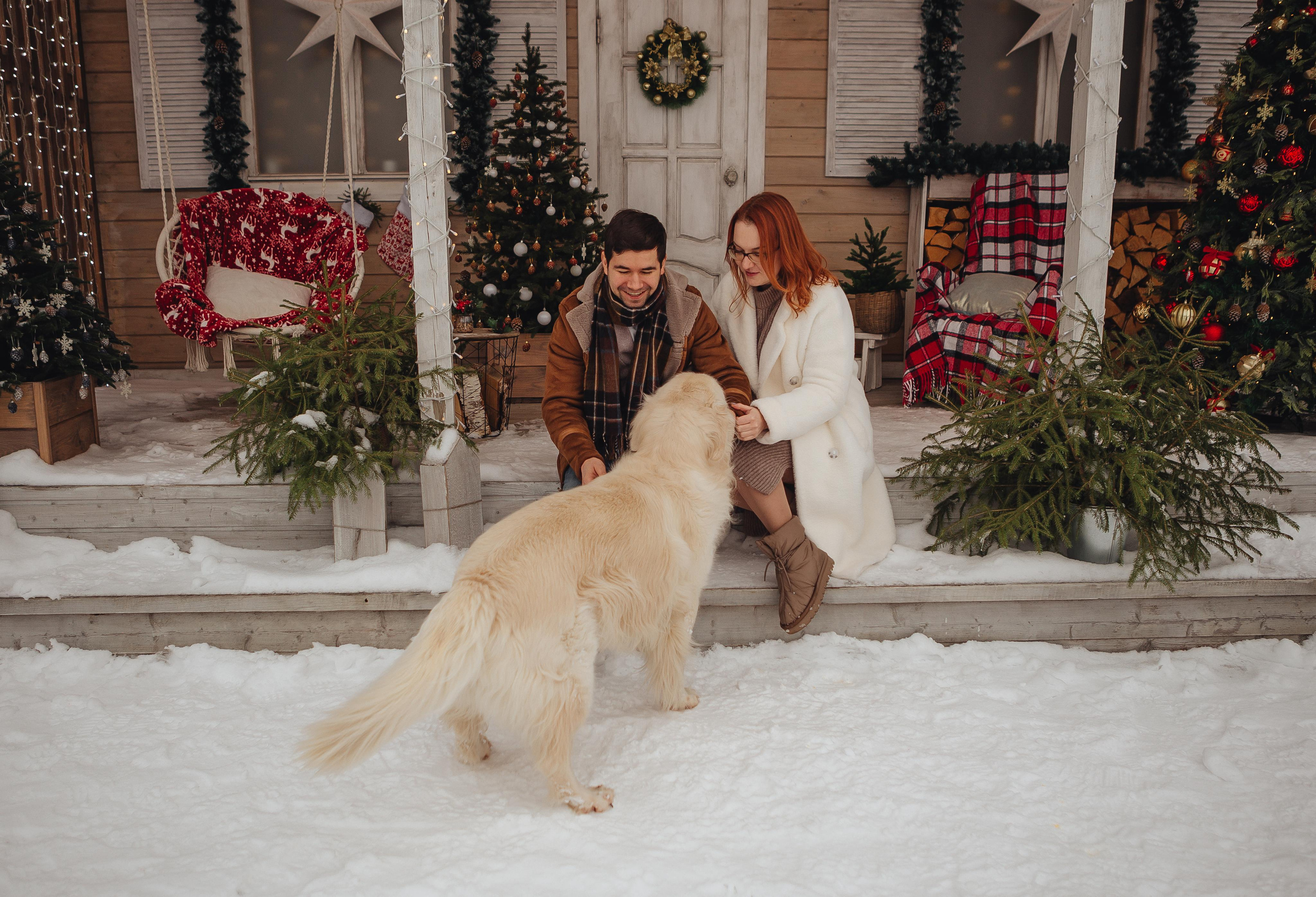 Дачная история. ФОТОГРАФ Маргарита Сивакова | Ярославль Кострома Москва