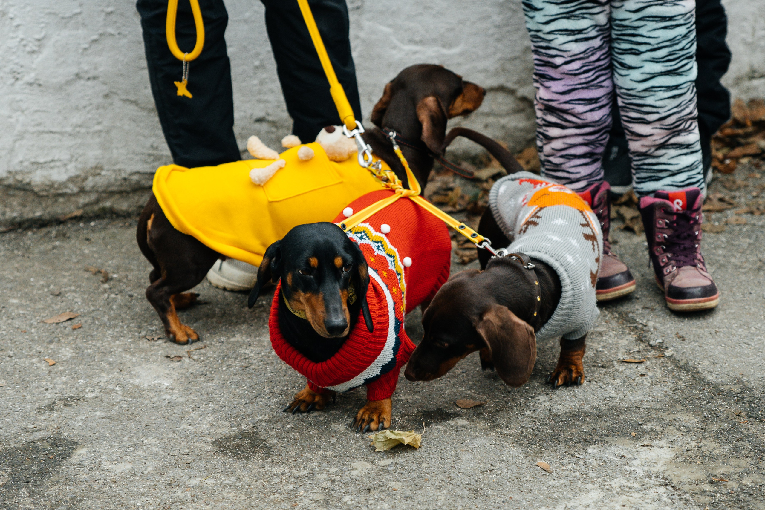 Побегай 1 января. Алена Костарева. Фотограф в Ростове-на-Дону
