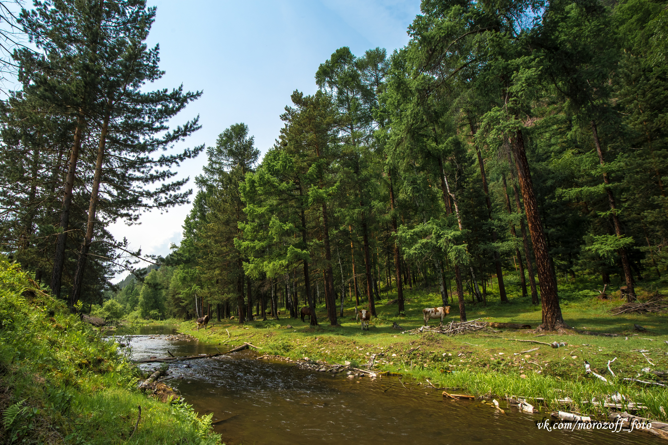 Фототуры. Свадебное фото видео в Иркутске, выпускной, юбилей. Морозов Анатолий