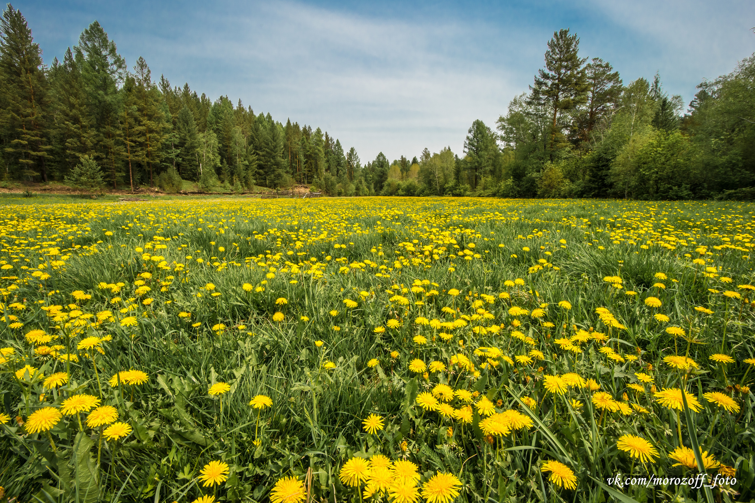 Фототуры. Свадебное фото видео в Иркутске, выпускной, юбилей. Морозов Анатолий