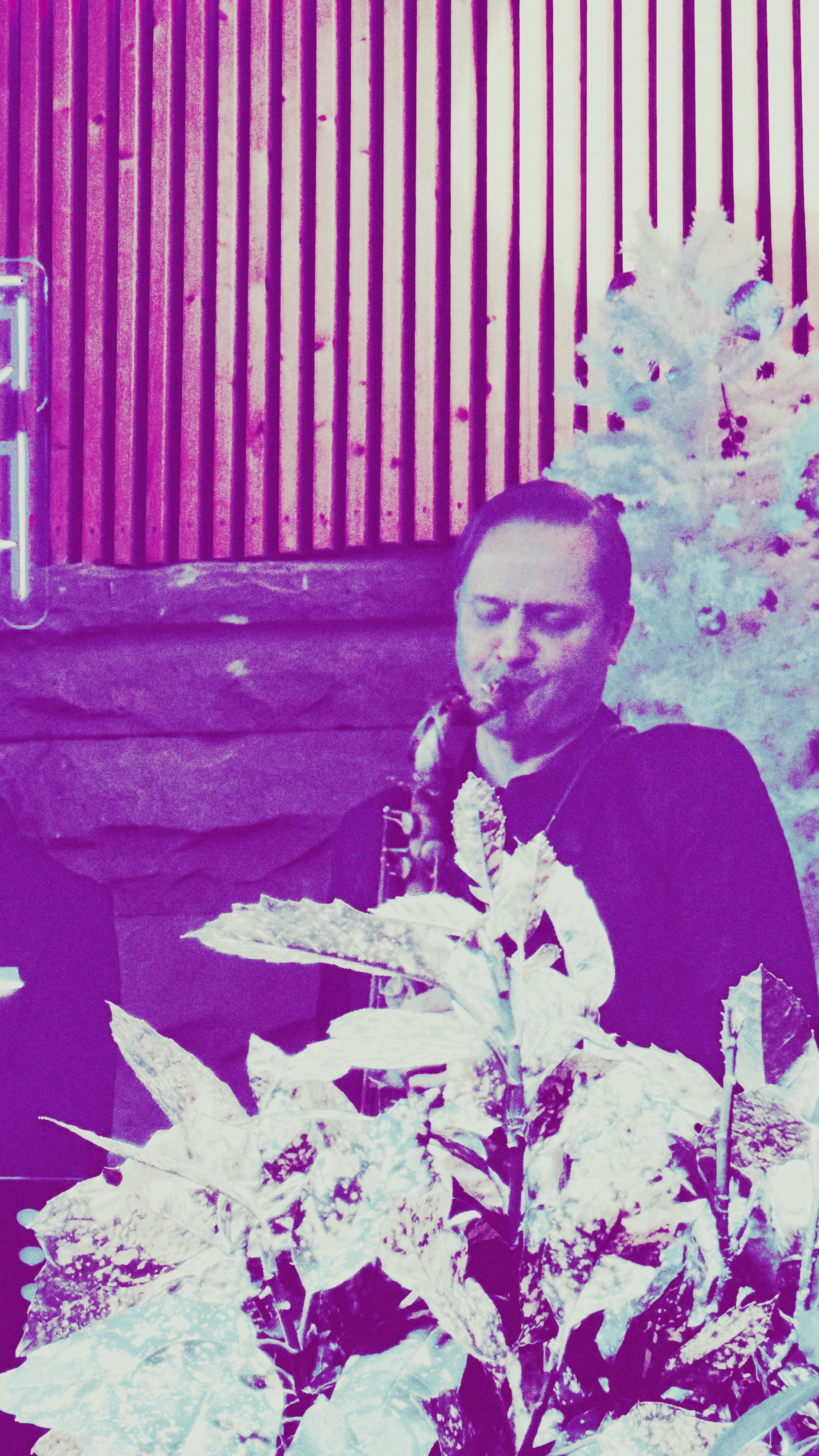 Концерты. Фотограф • Елена Миронова