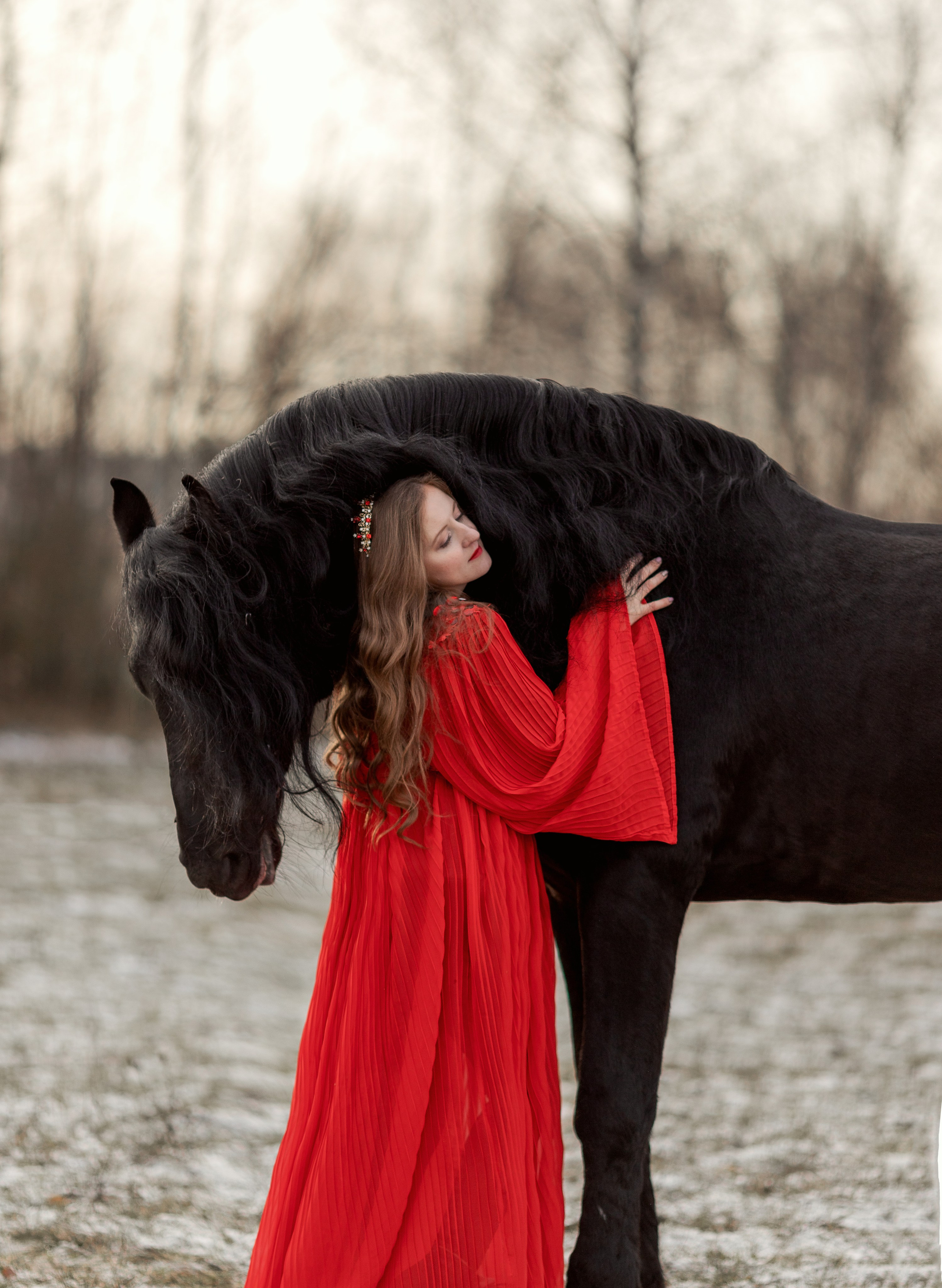 Фотосессии с лошадьми. Фотосессии с лошадьми в Москве от Конный фотографа Кутейниковой Светланы