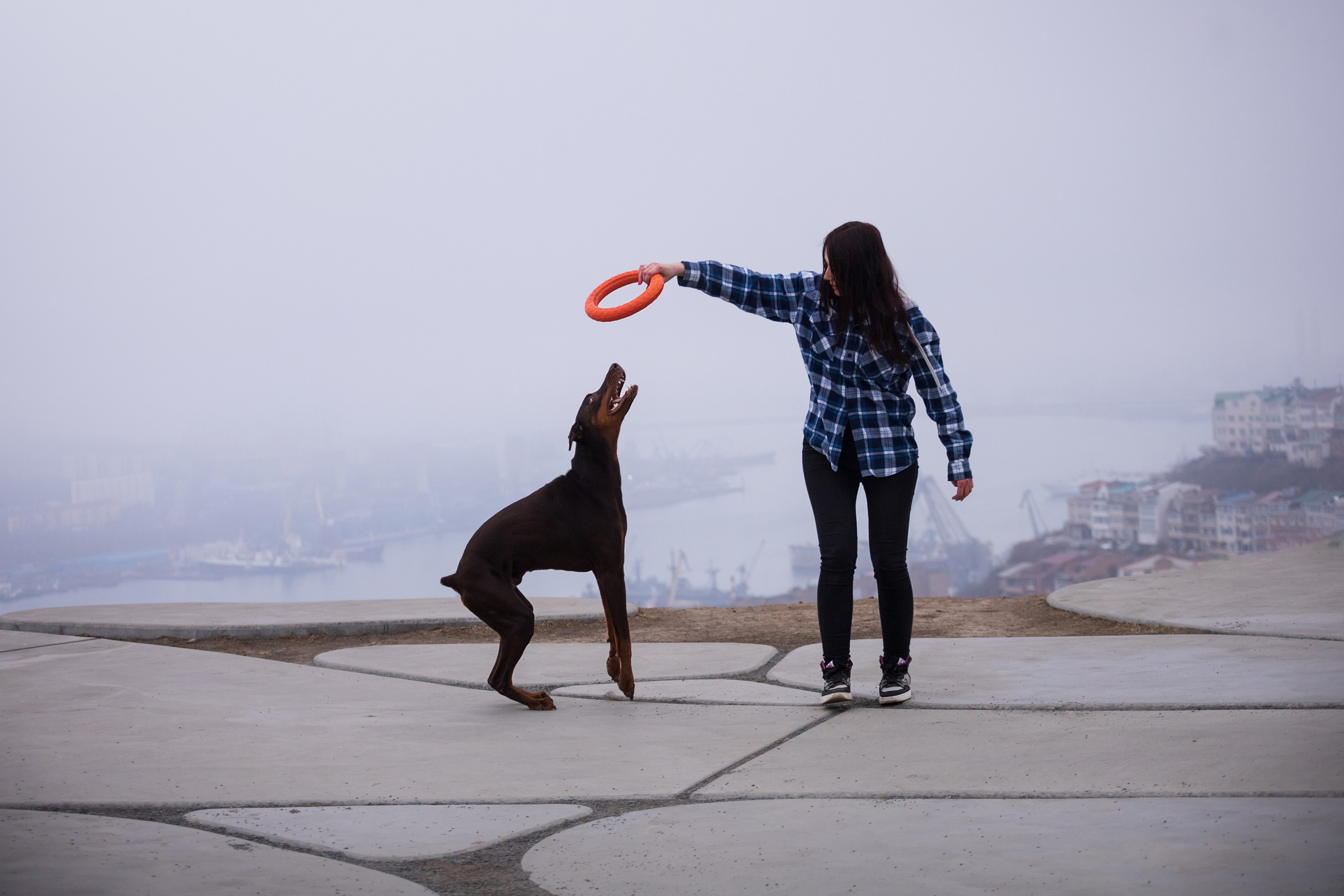 Оля и Кайрат. Фотограф — анималист Владивосток, Алина