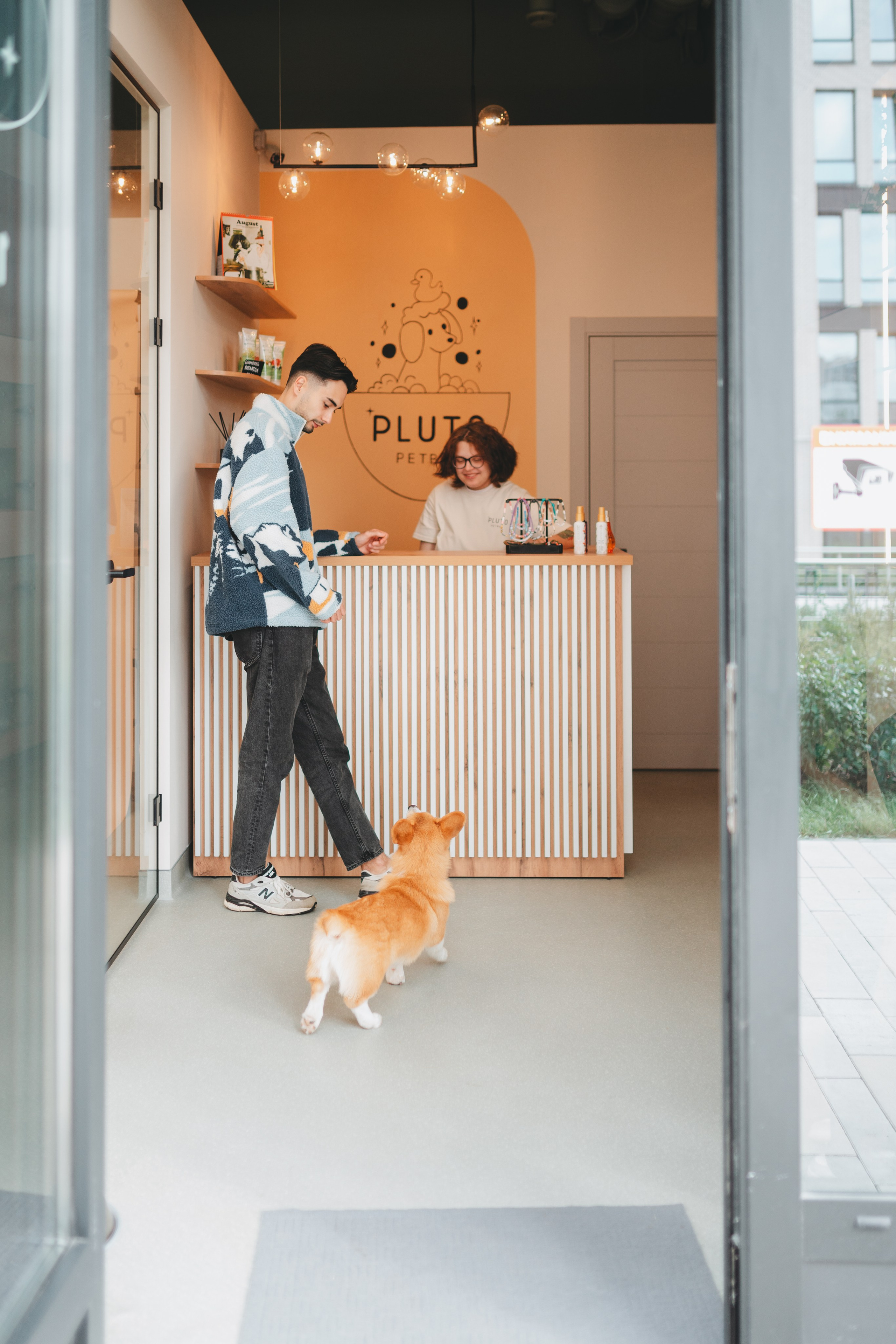 Груминг — салон. Фотограф анималист Осипчикова Мария