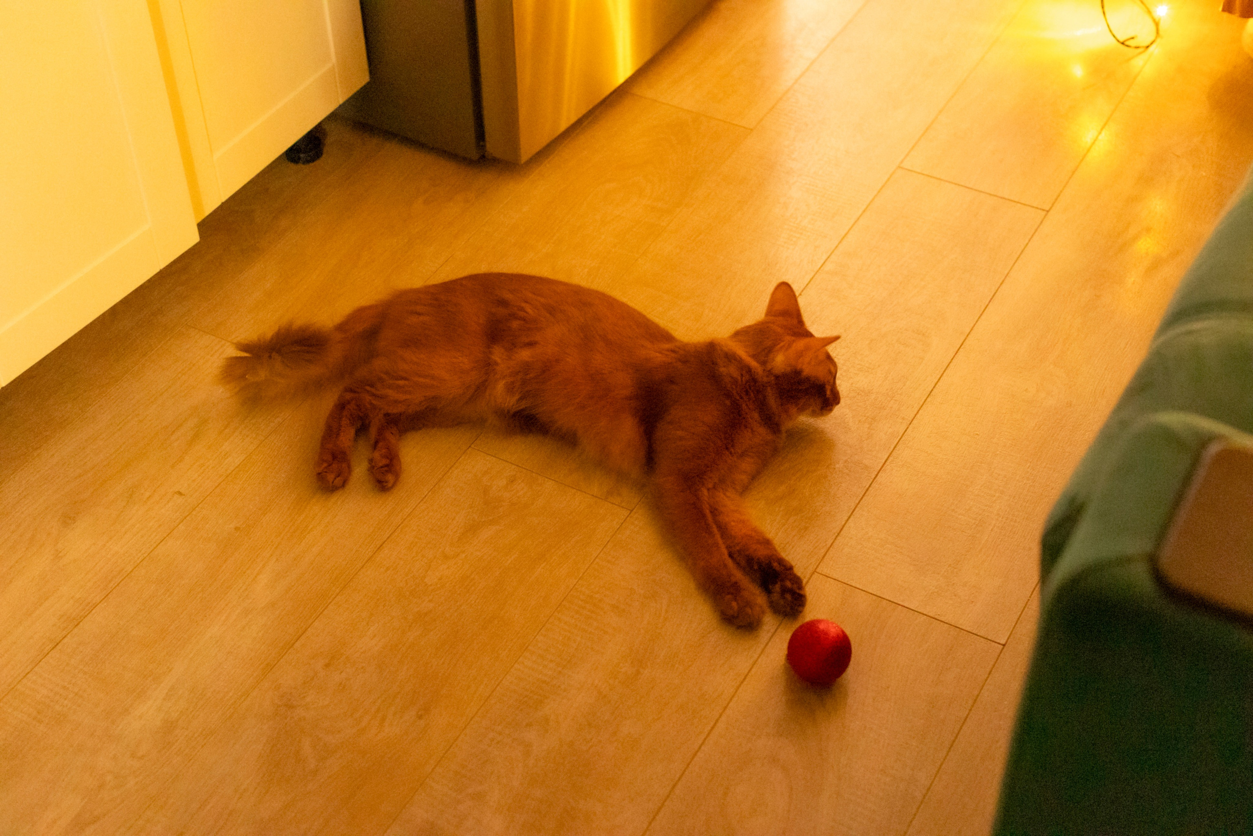 Сомали. Art my Pho