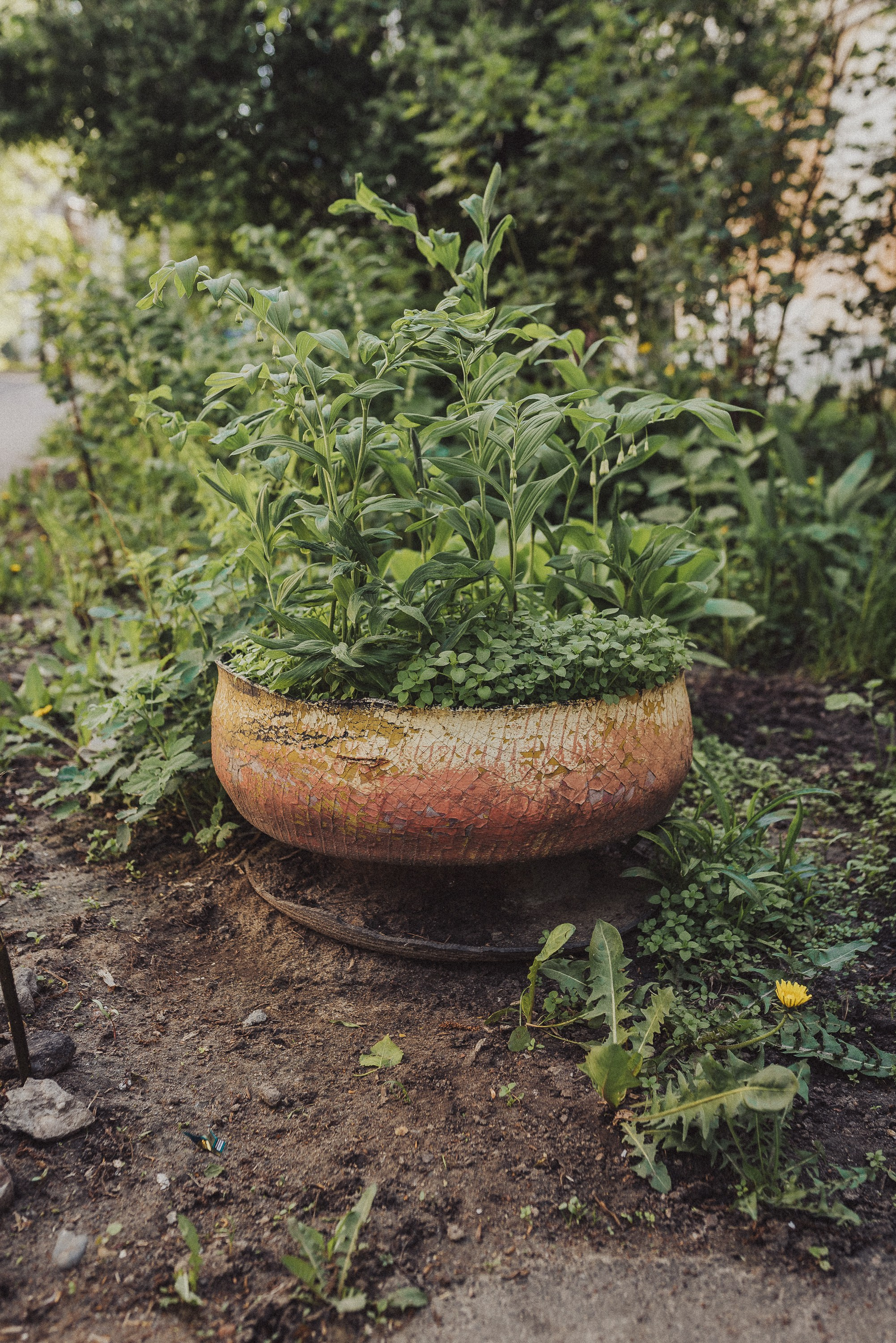 Фотопроект «ЯШина». Документальный фотограф Илья Тихановский